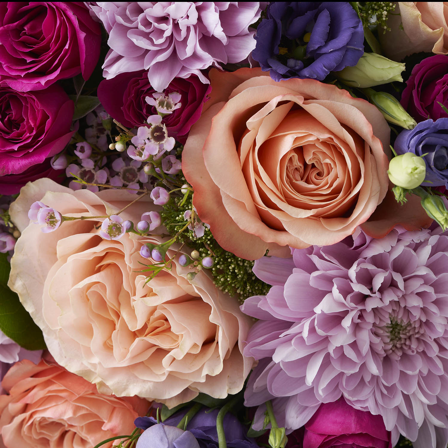 Closeup of lavender chrysanthemums, peach roses, fuchsia spray roses, pink was flower,  and purple lisianthus.