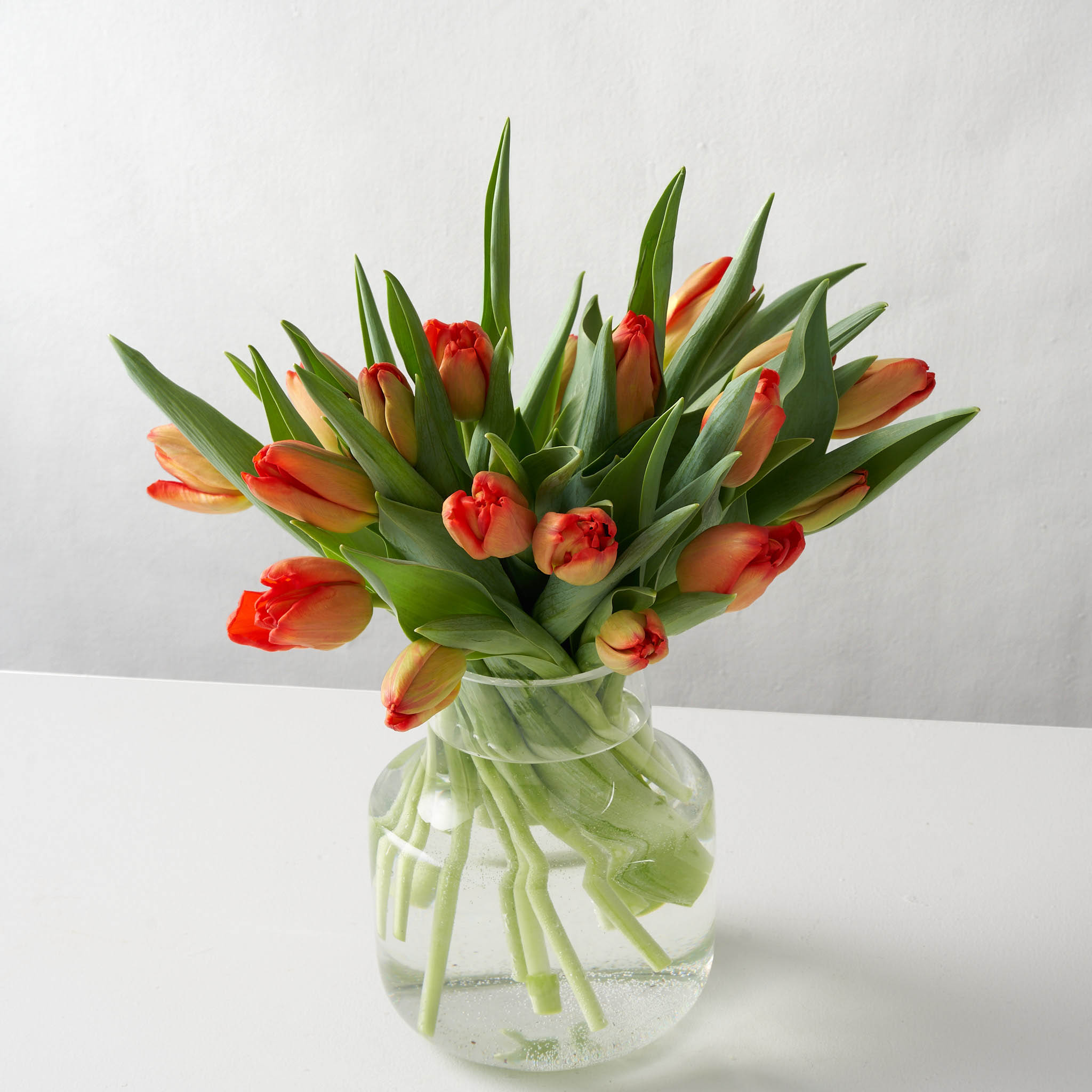 Orange tulips in a rounded clear glass vase set upon a white table