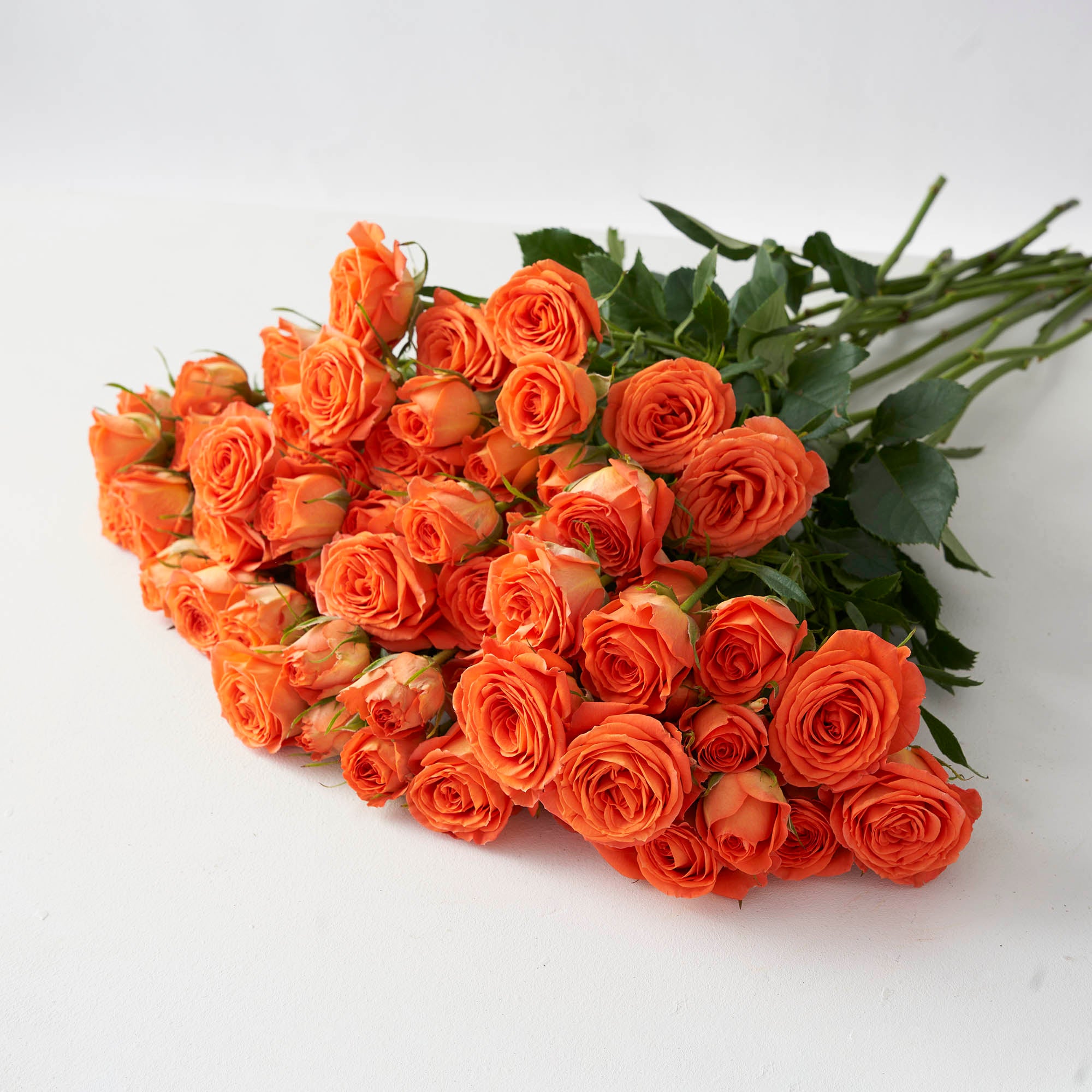 Orange Spray Roses