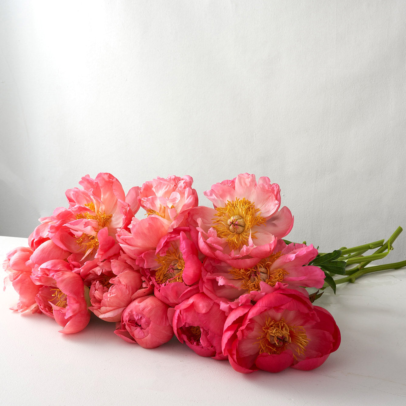 Bouquet of coral colored peonies with stems