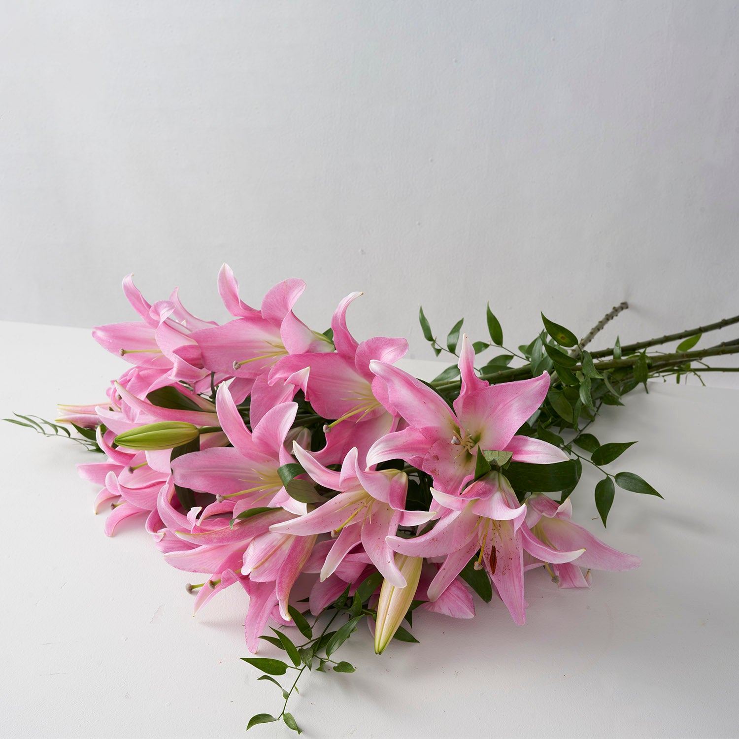 Bouquet of pink lilies on white background.