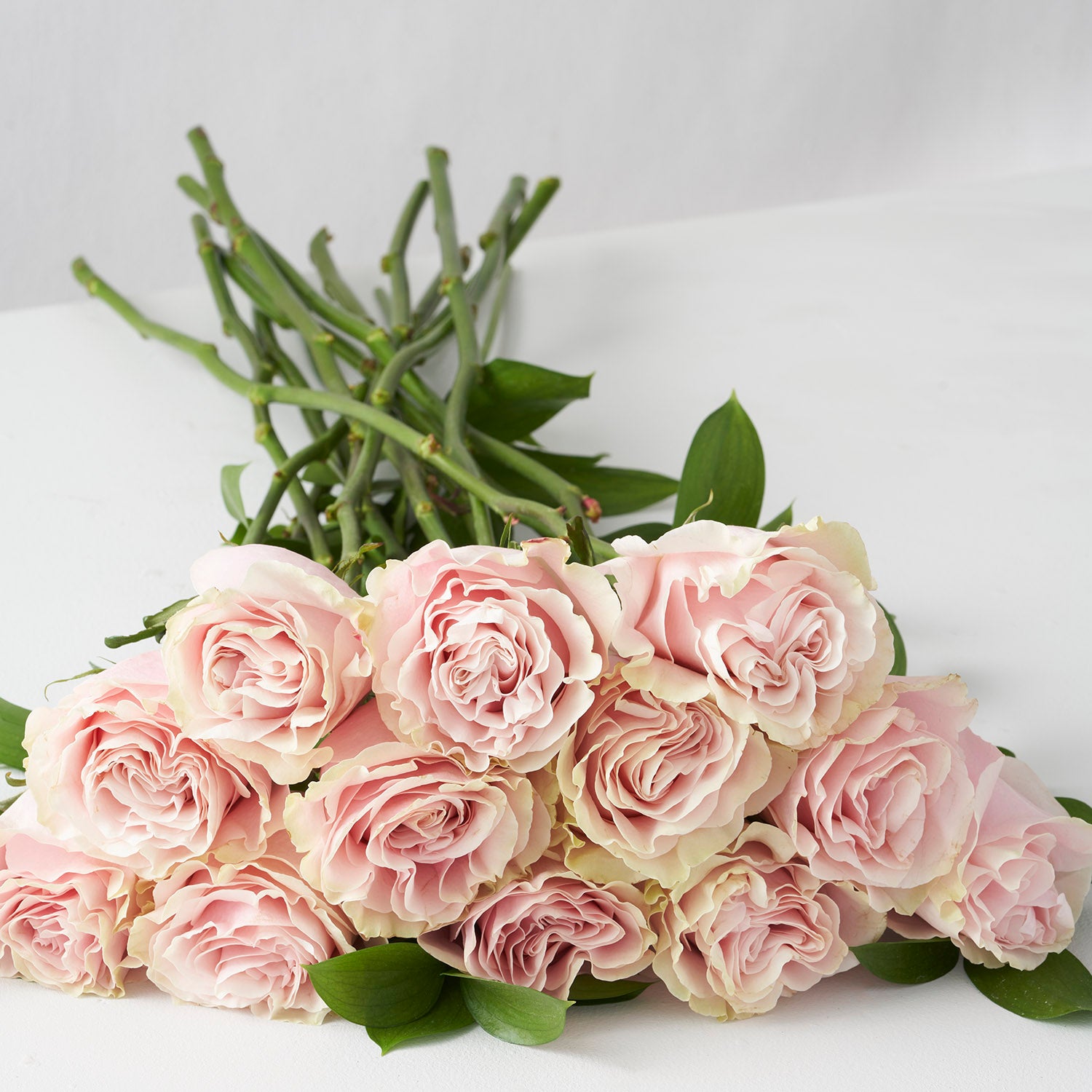 Bouquet of twelve pale pink Mondial roses on white background.