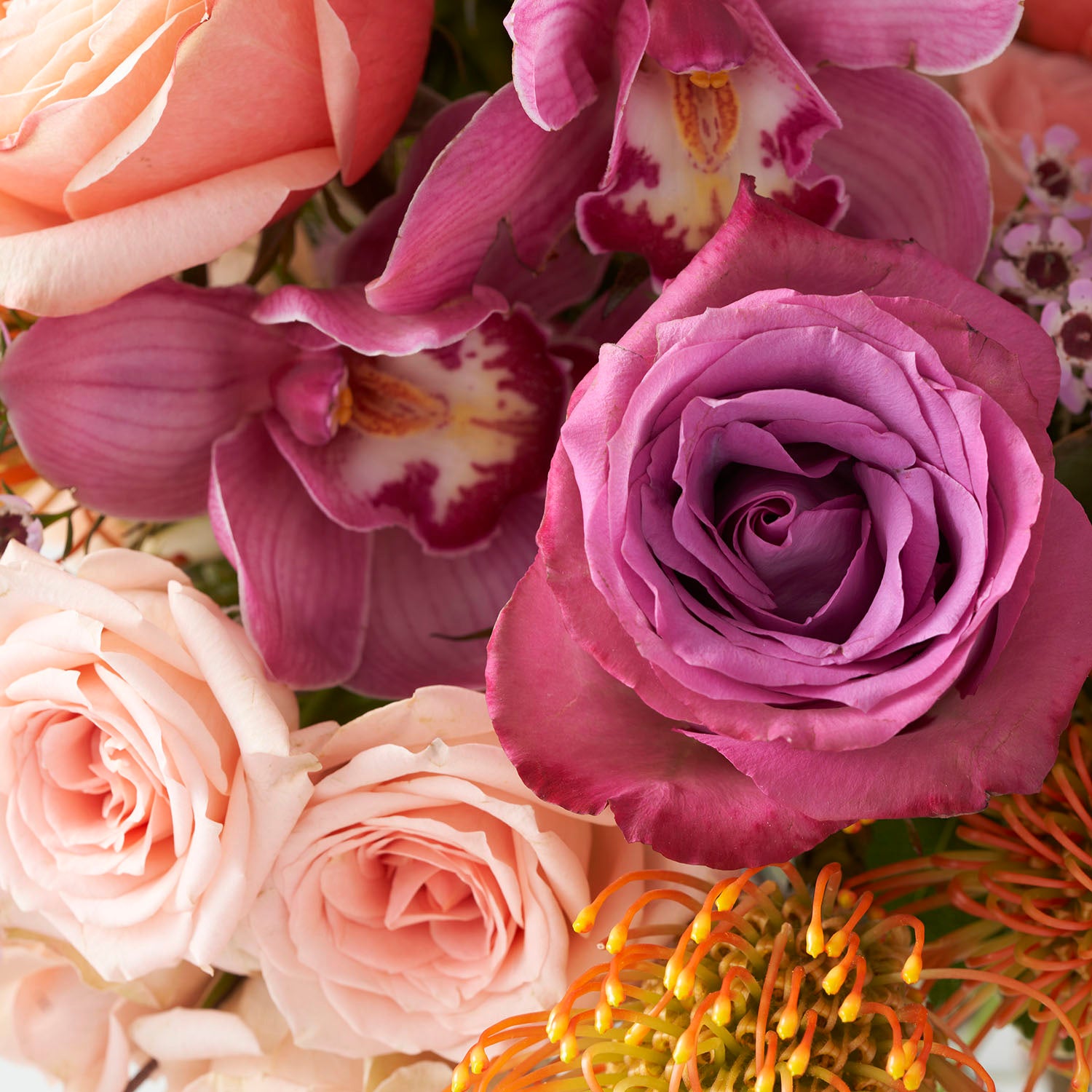 Close up of plum roses, plum cymbidium, gold protea, and peach roses.