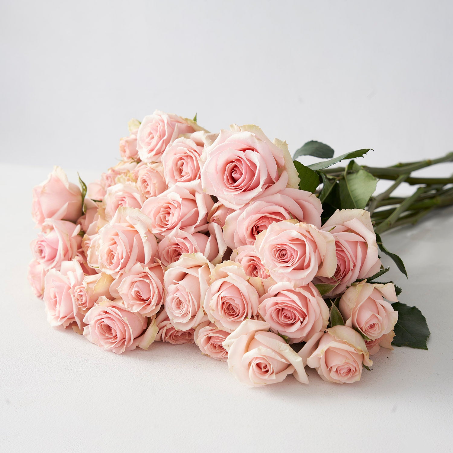 Roses branchues rose pâle
