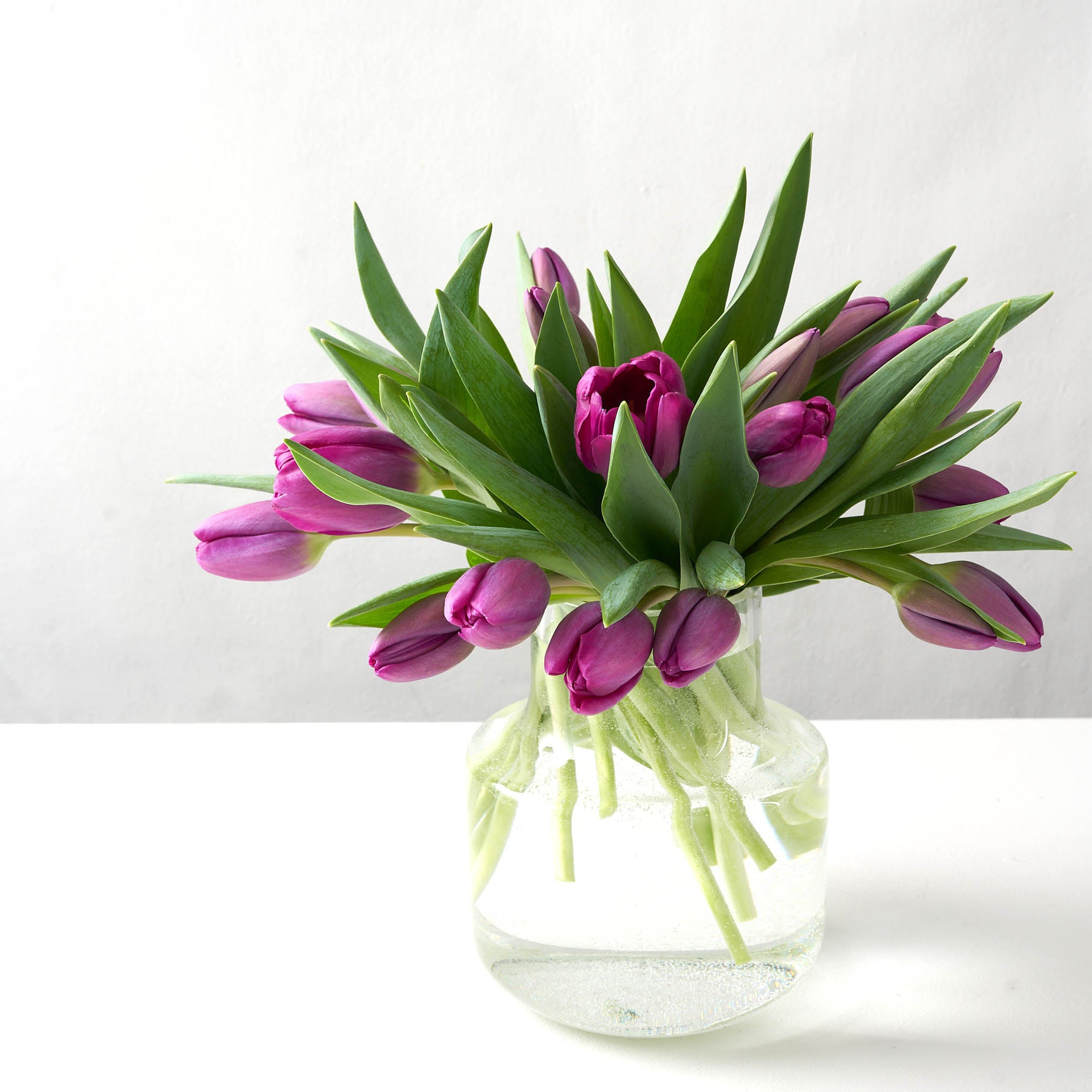 Rounded clear glass vase containing an arrangement of purple tulips