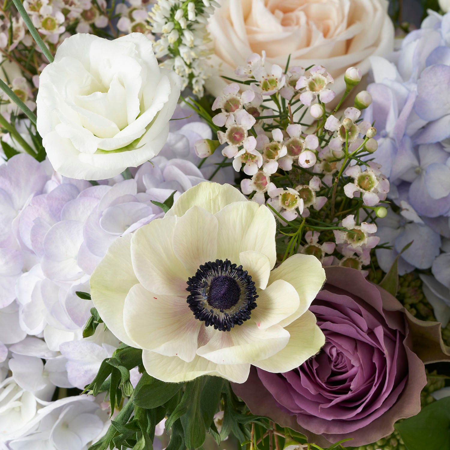 Closeup of white anemonie, pale blue hydrangea, and dusty lavender rose.