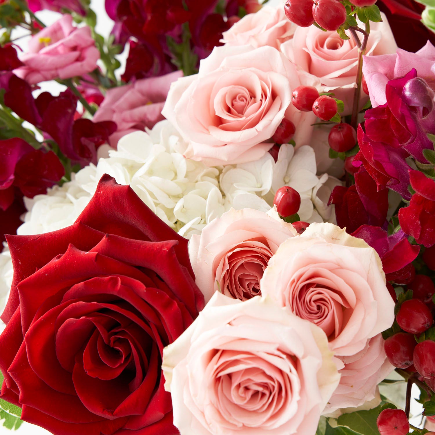 Close up of red and pink roses with white hydrangea and red snapdragons.