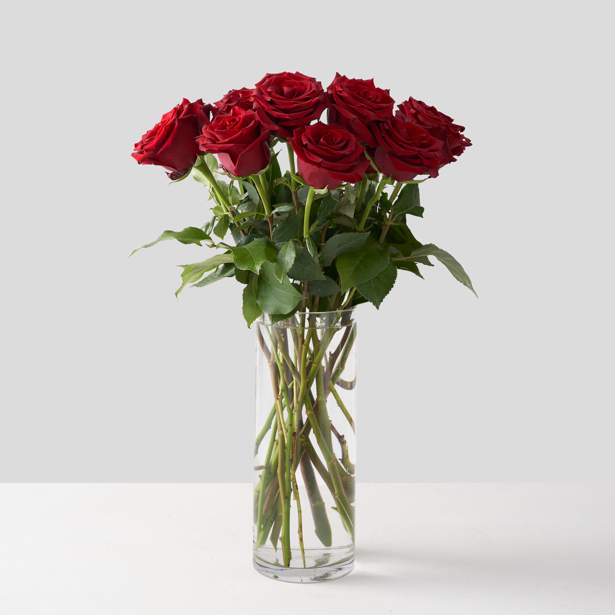 Arrangement floral de 12 roses « Explorer »