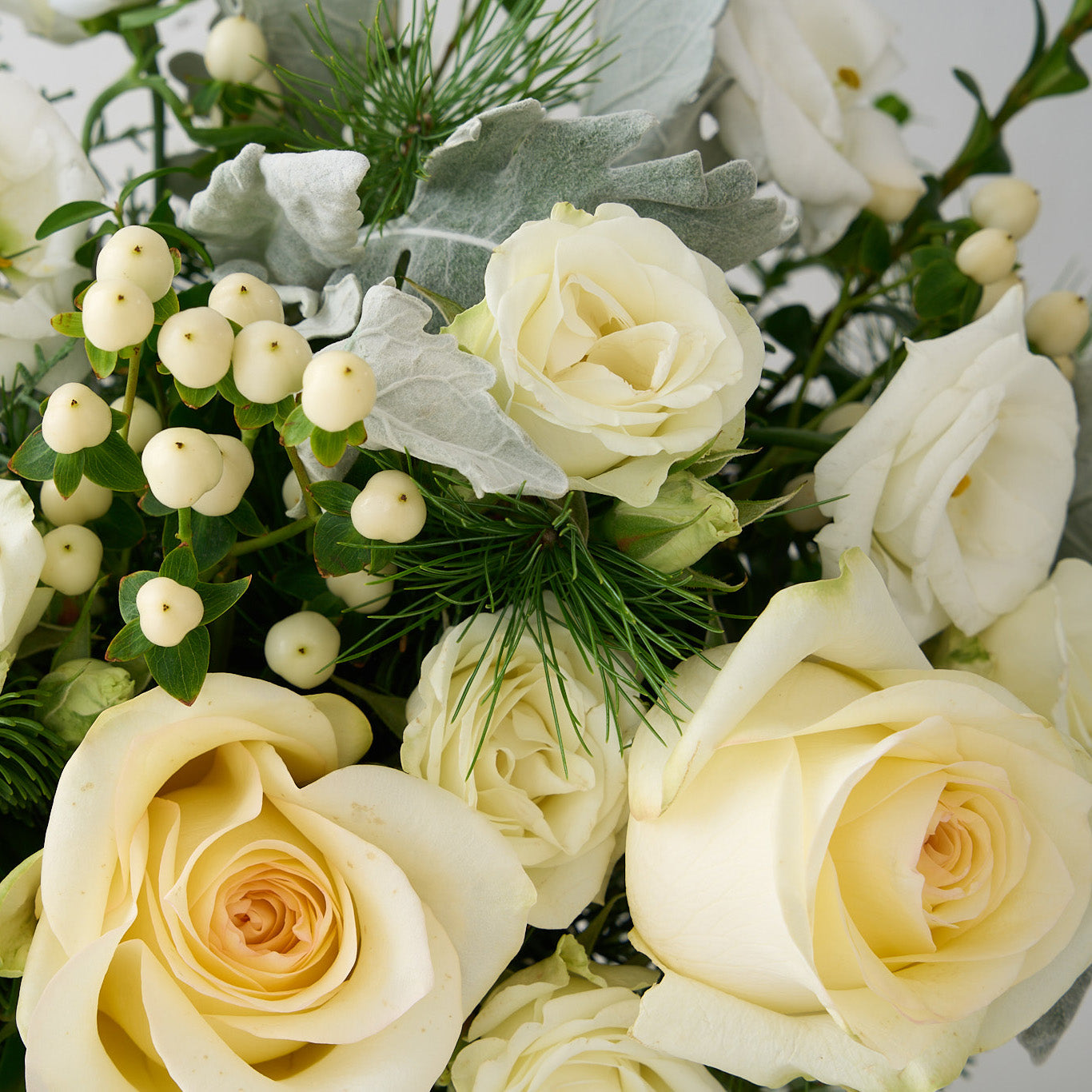 Arrangement of white roses, lisianthus, hypericum, dusty miller leaves and fur tree and cedar leaves.