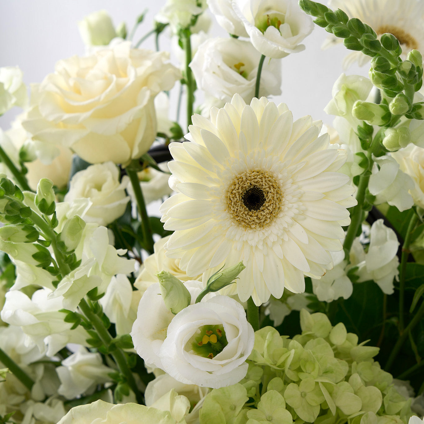 The Nellie Basket