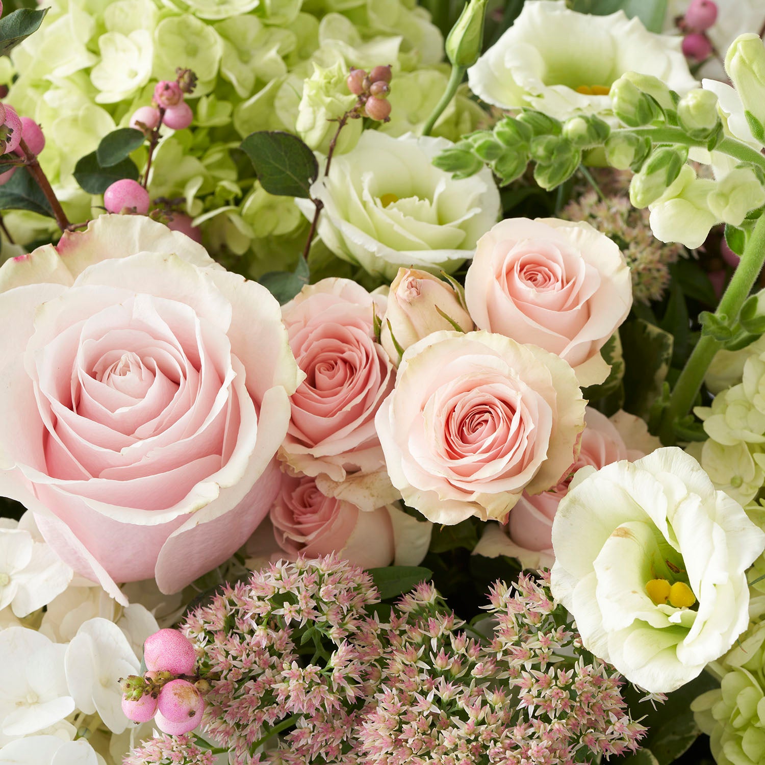 Closeup of pale pink roses, green lisianthus, green hydrangea, and pink snow berry. 