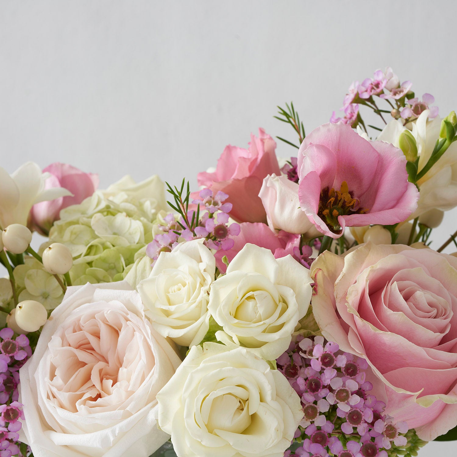 Close up of soft pink, blush, and white roses with pink wax flower and white hydrangea.
