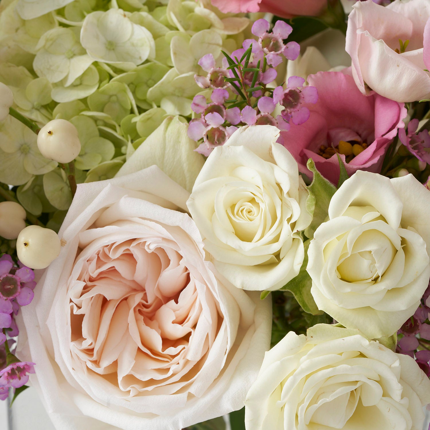 Close up of blush, white pale green and pink flowers,