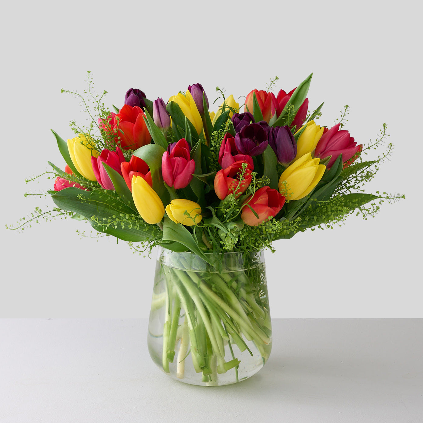 Red, hot pink purple and yellow tulips with thlaspi