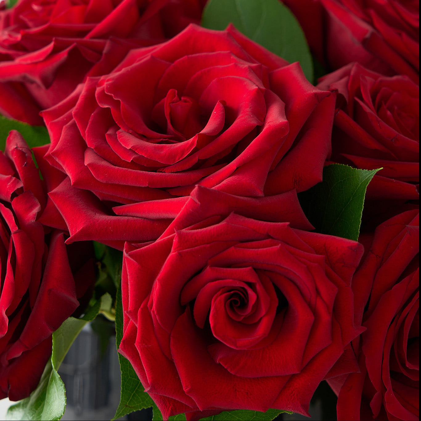 18 roses rouges dans un vase en verre noir premium