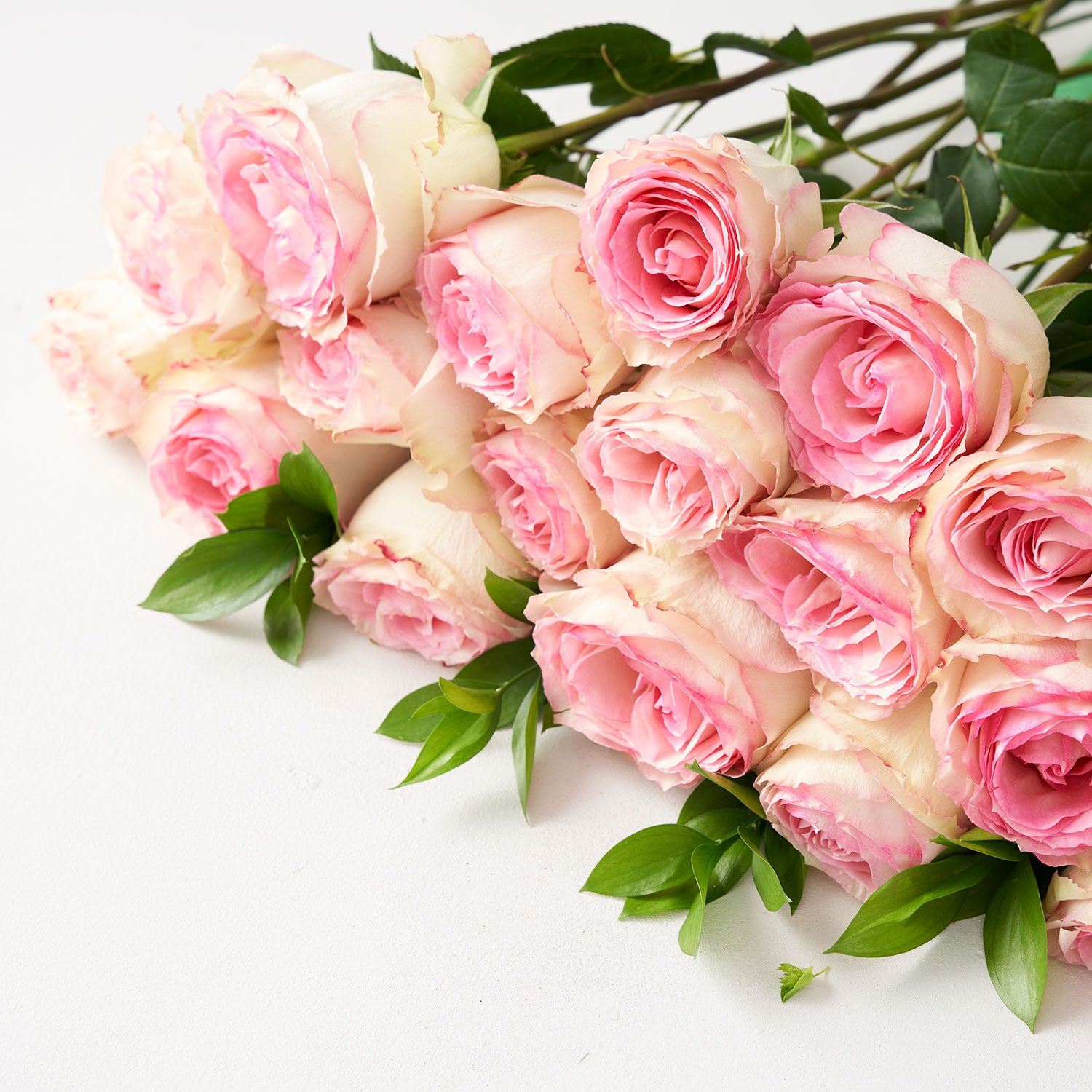 24 roses « Esperance »