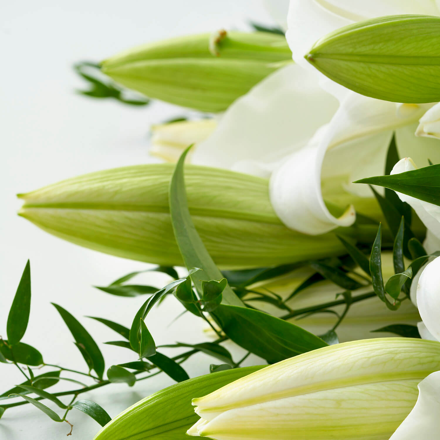 Lys blancs avec ruscus