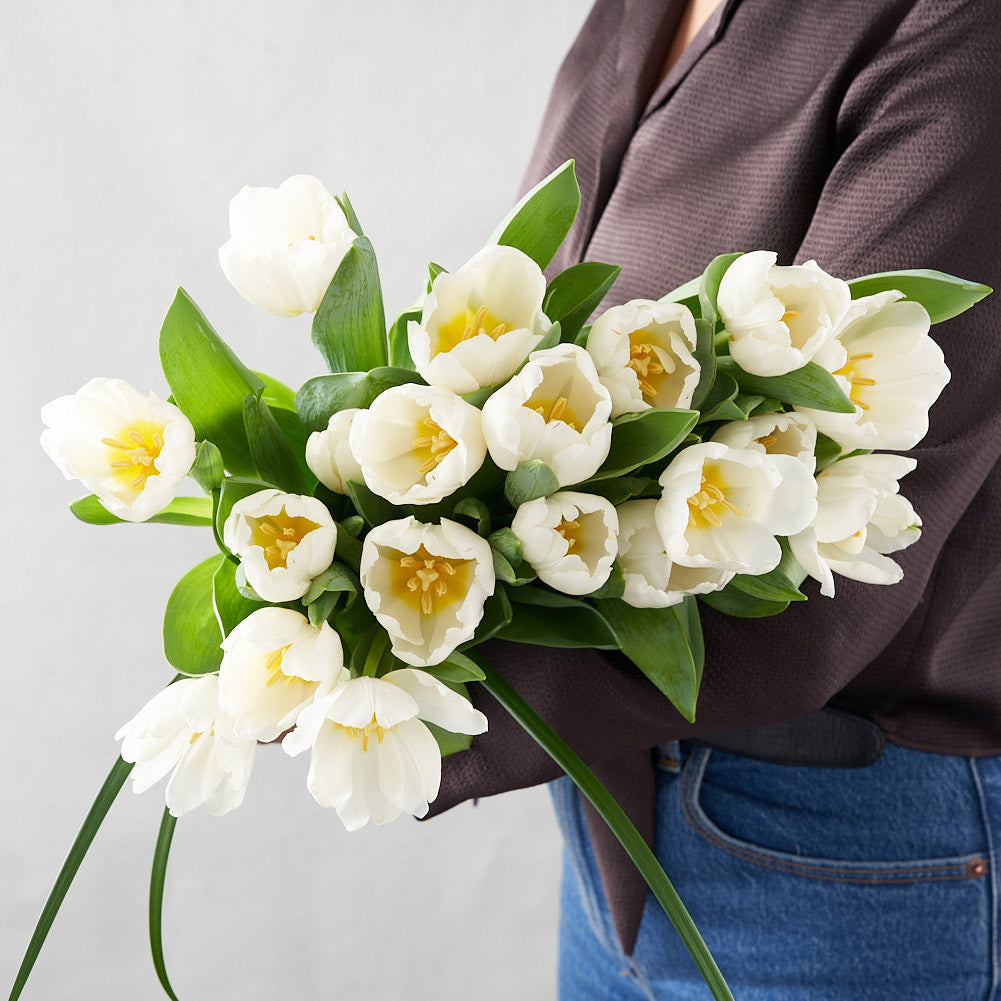 Woman in grey sweater holding two dozen white tulips