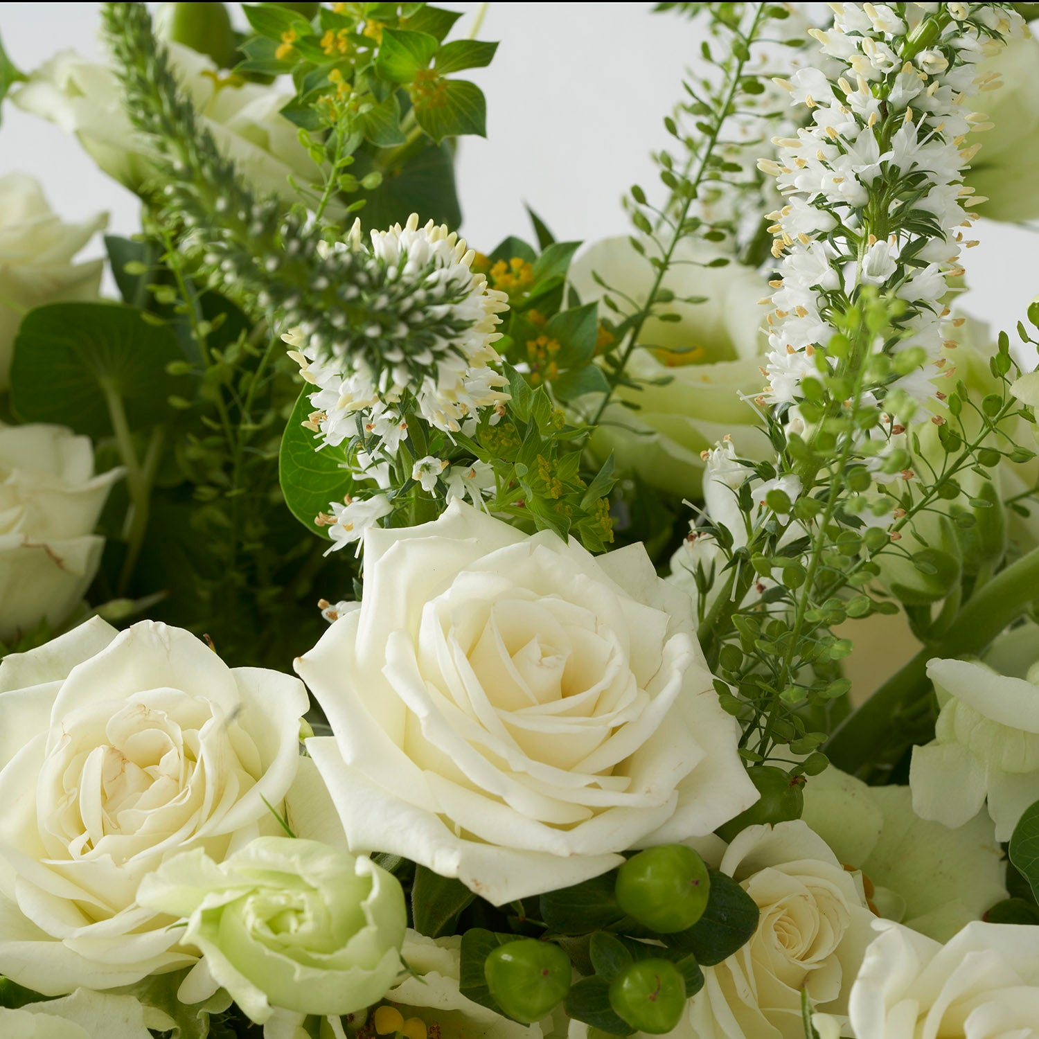 Close up of mostly white roses mixed with other green and white flowers.