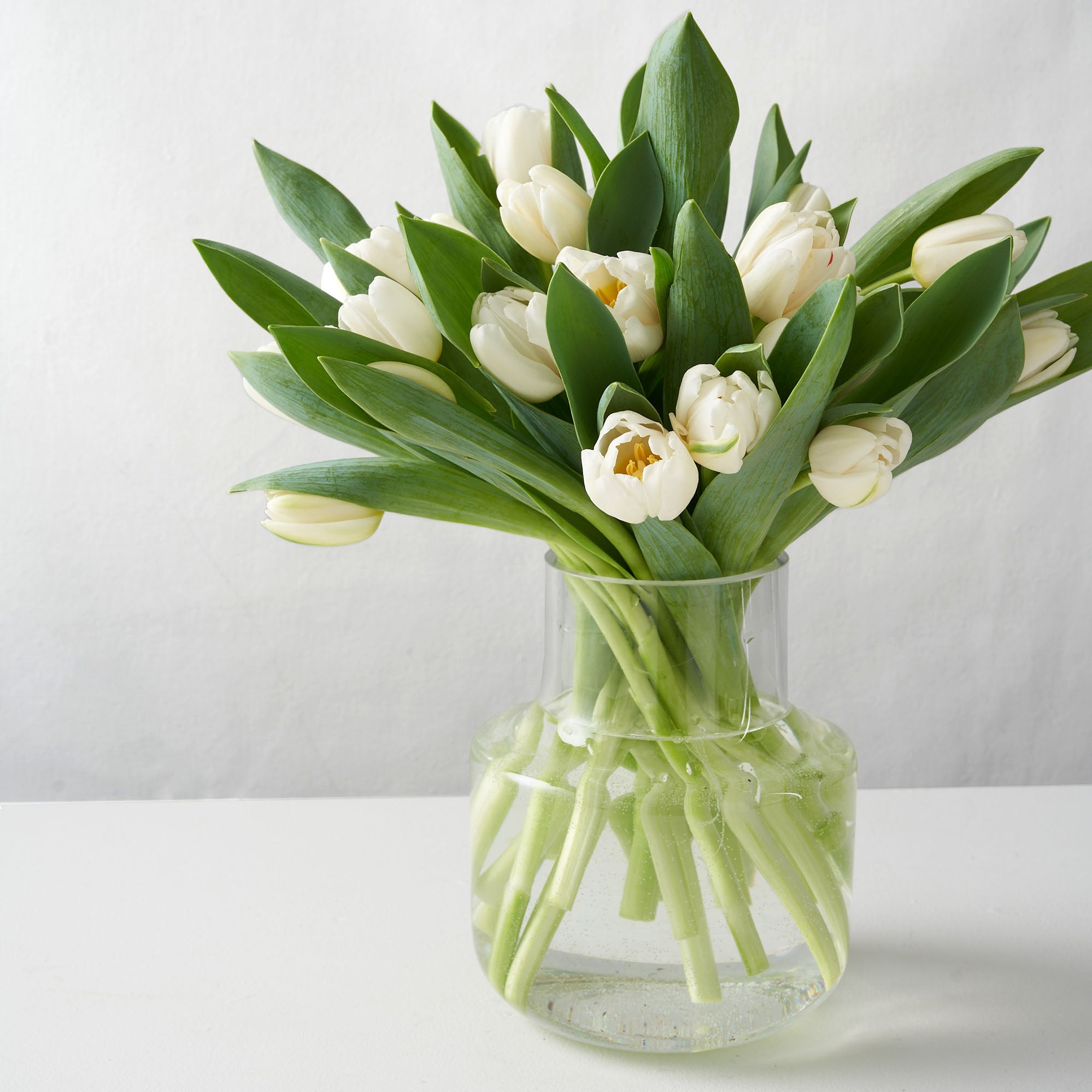 Arrangement of white tulips placed inside of a clear glass vase set upon a white table