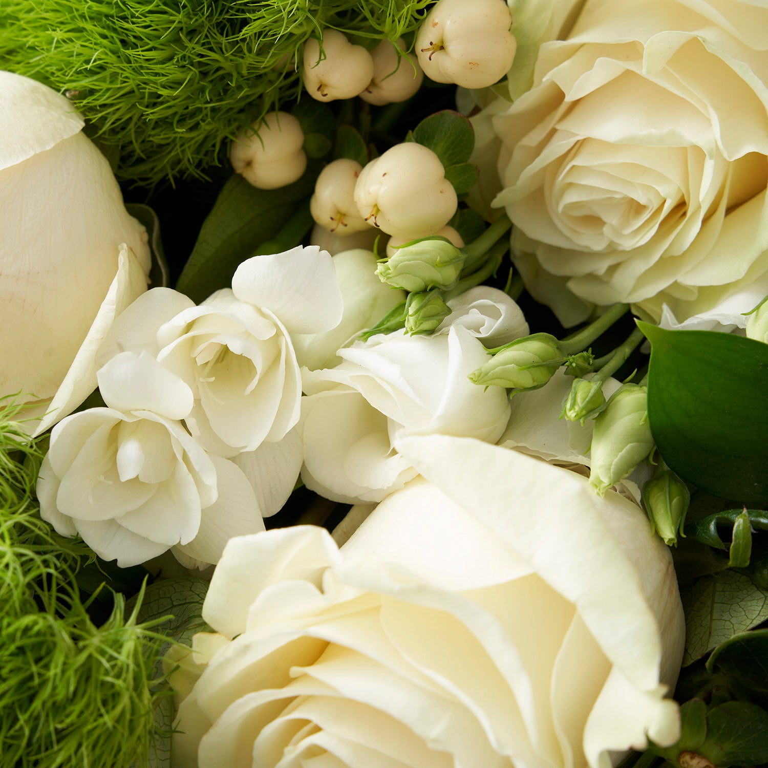 Closeup of white roses, white freesia, cream berries and green dianthus flowers.