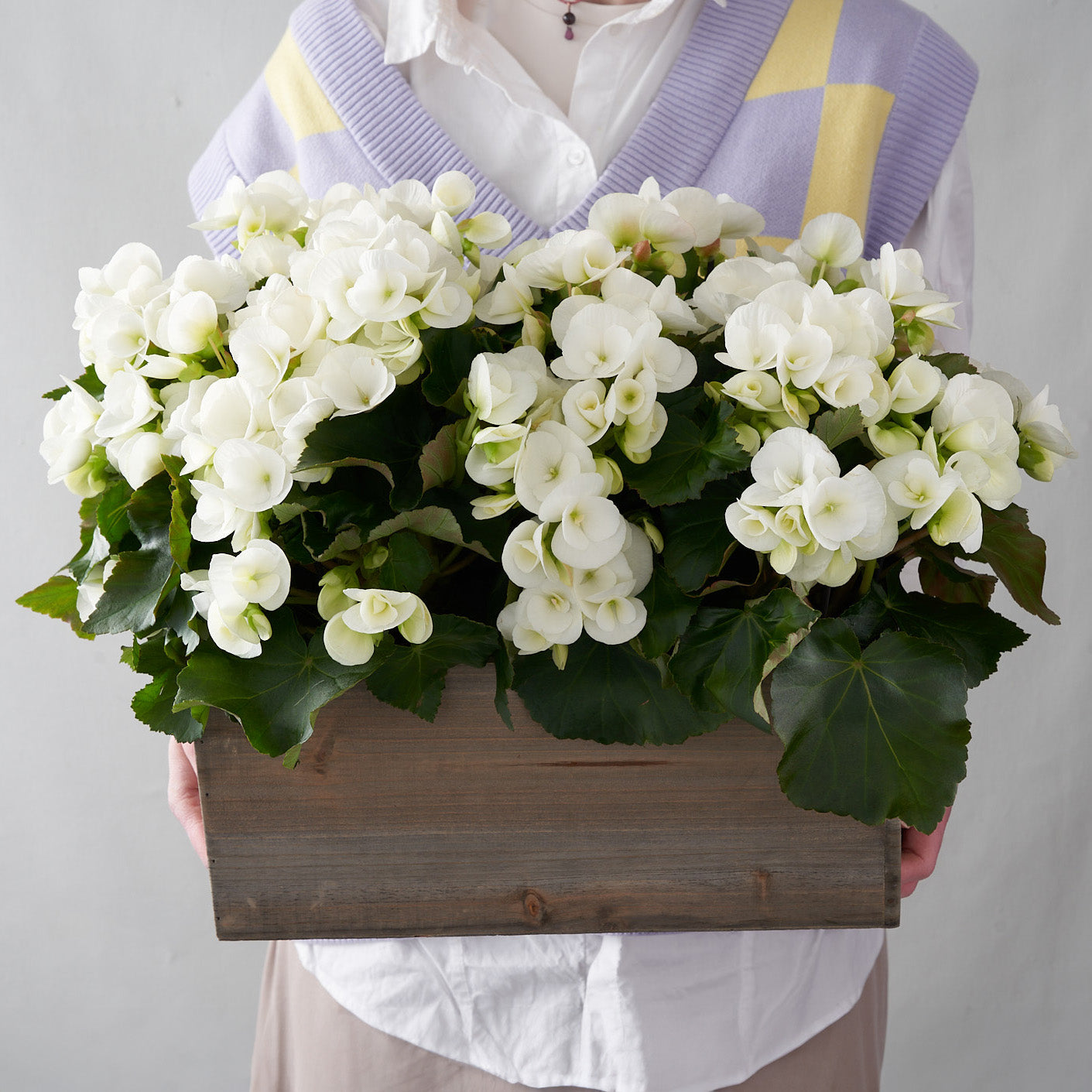 Woman in a purple and yellow vest holding a wooden planter box filled with white begonias