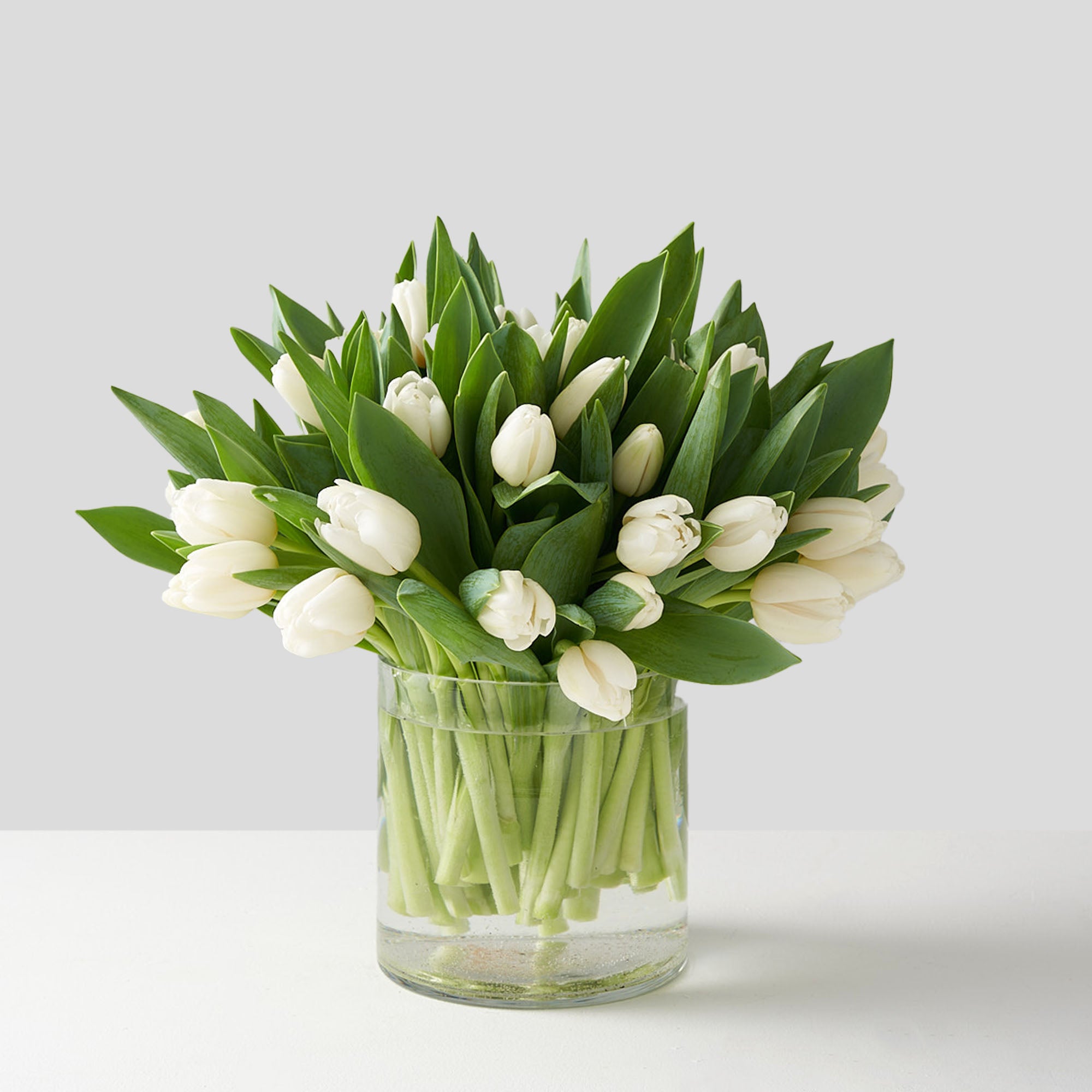 Cylindrical clear glass vase containing an arrangement of white tulips