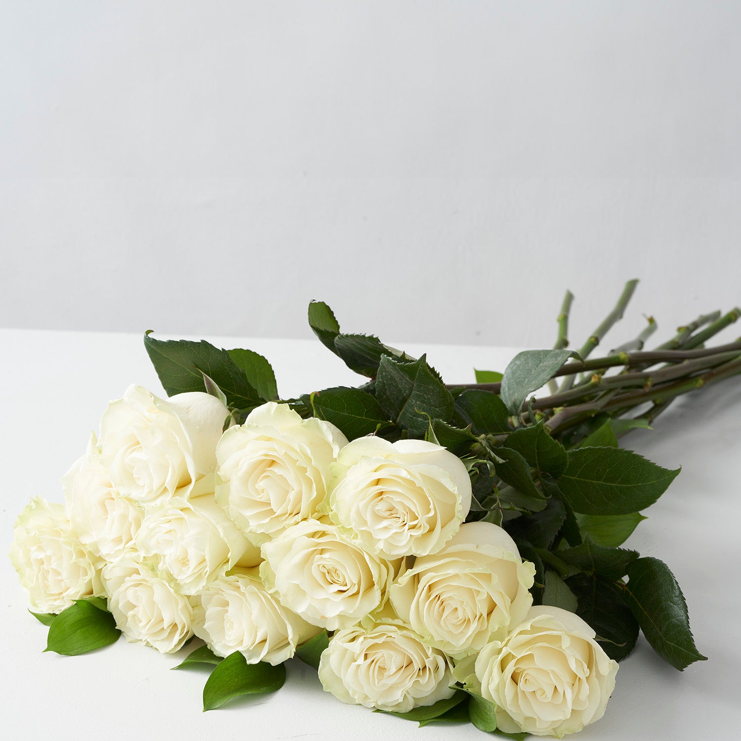 Bouquet of white Mondial roses on white background.