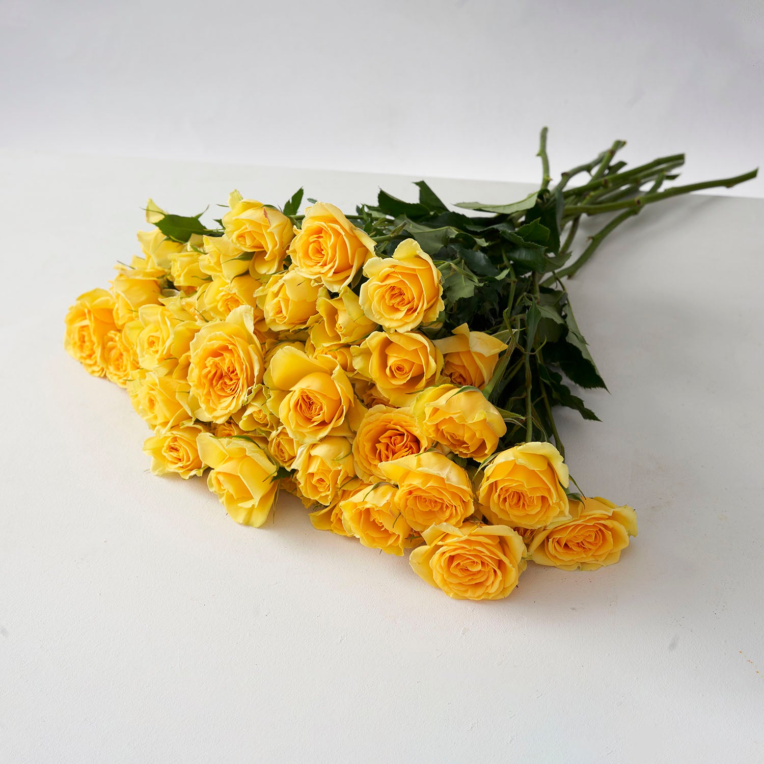 Yellow Spray Roses