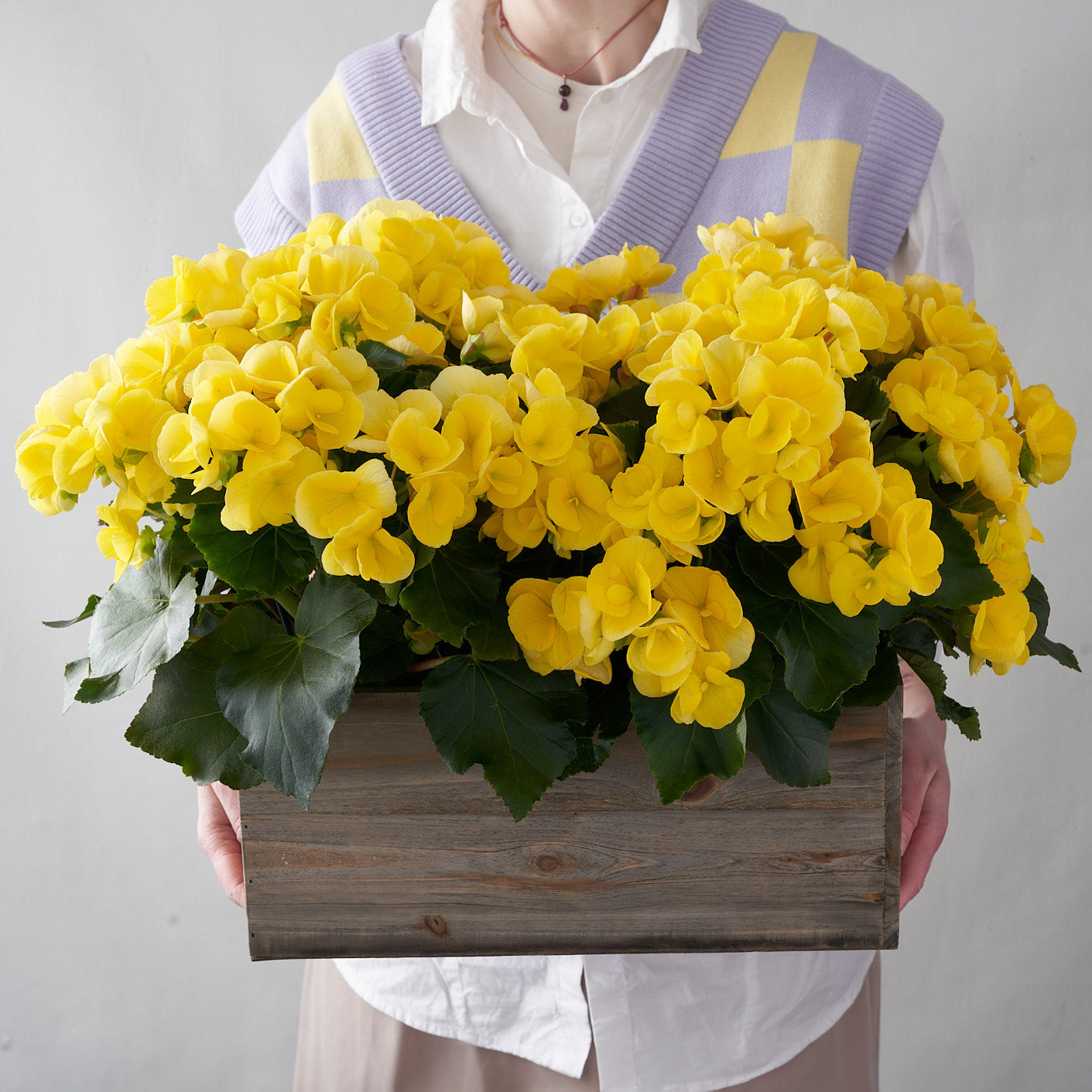 Woman wearing white holding a wooden planter box that is filled with bright yellow begonia