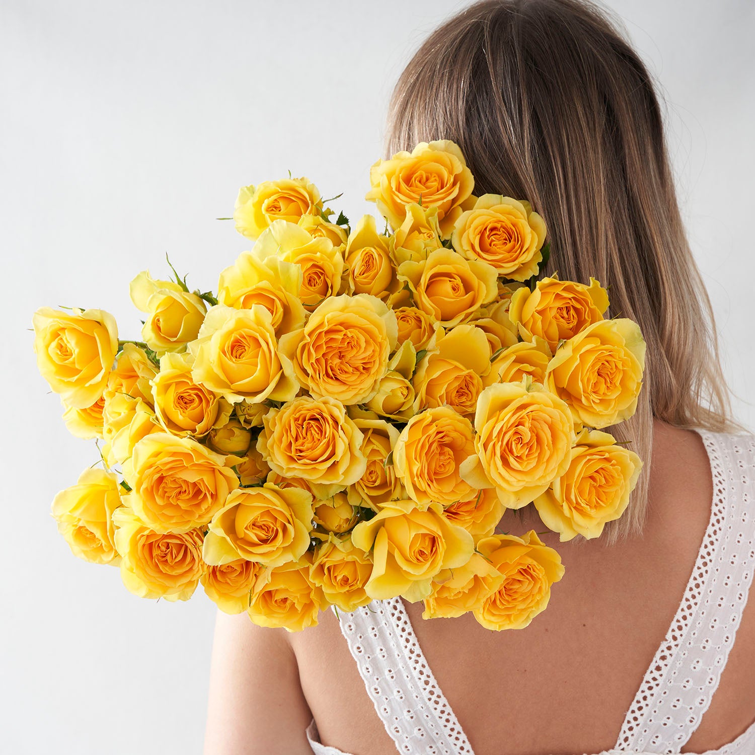 Yellow Spray Roses