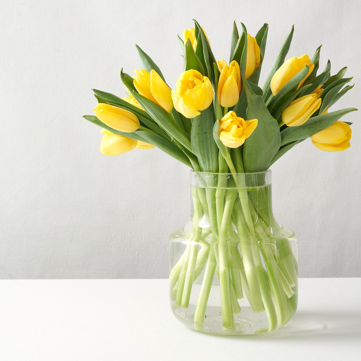 Arrangement of yellow tulips placed in a rounded clear lass vase set upon a white table