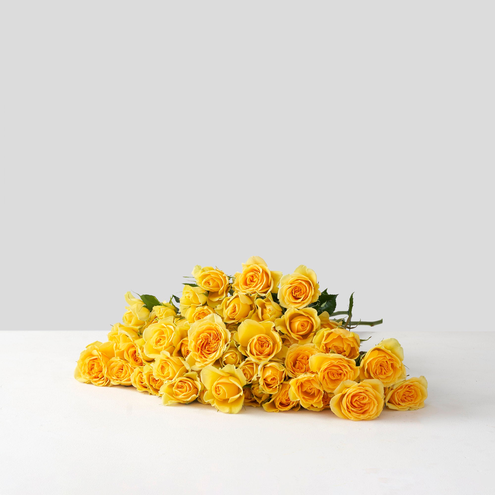 Yellow Spray Roses