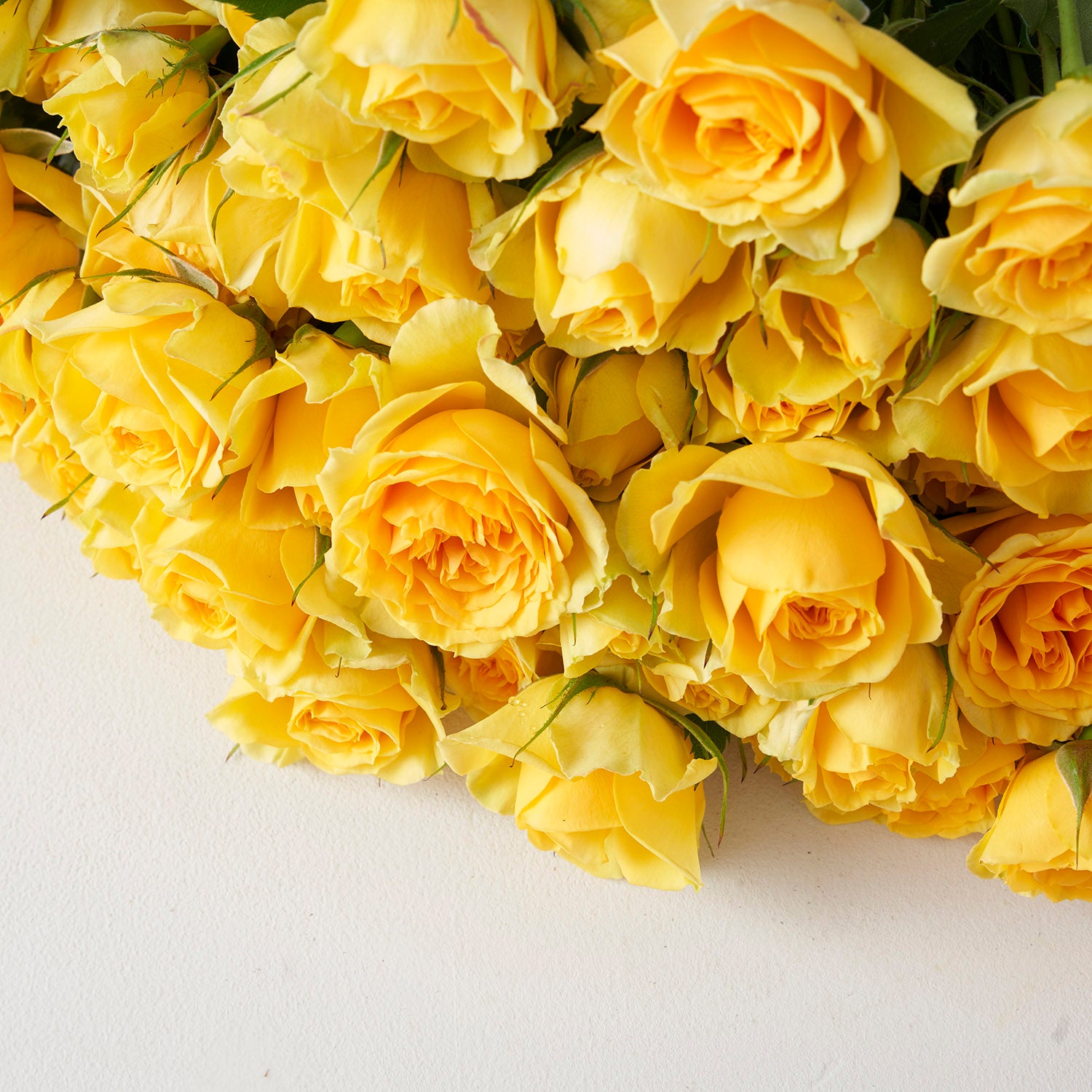 Yellow Spray Roses