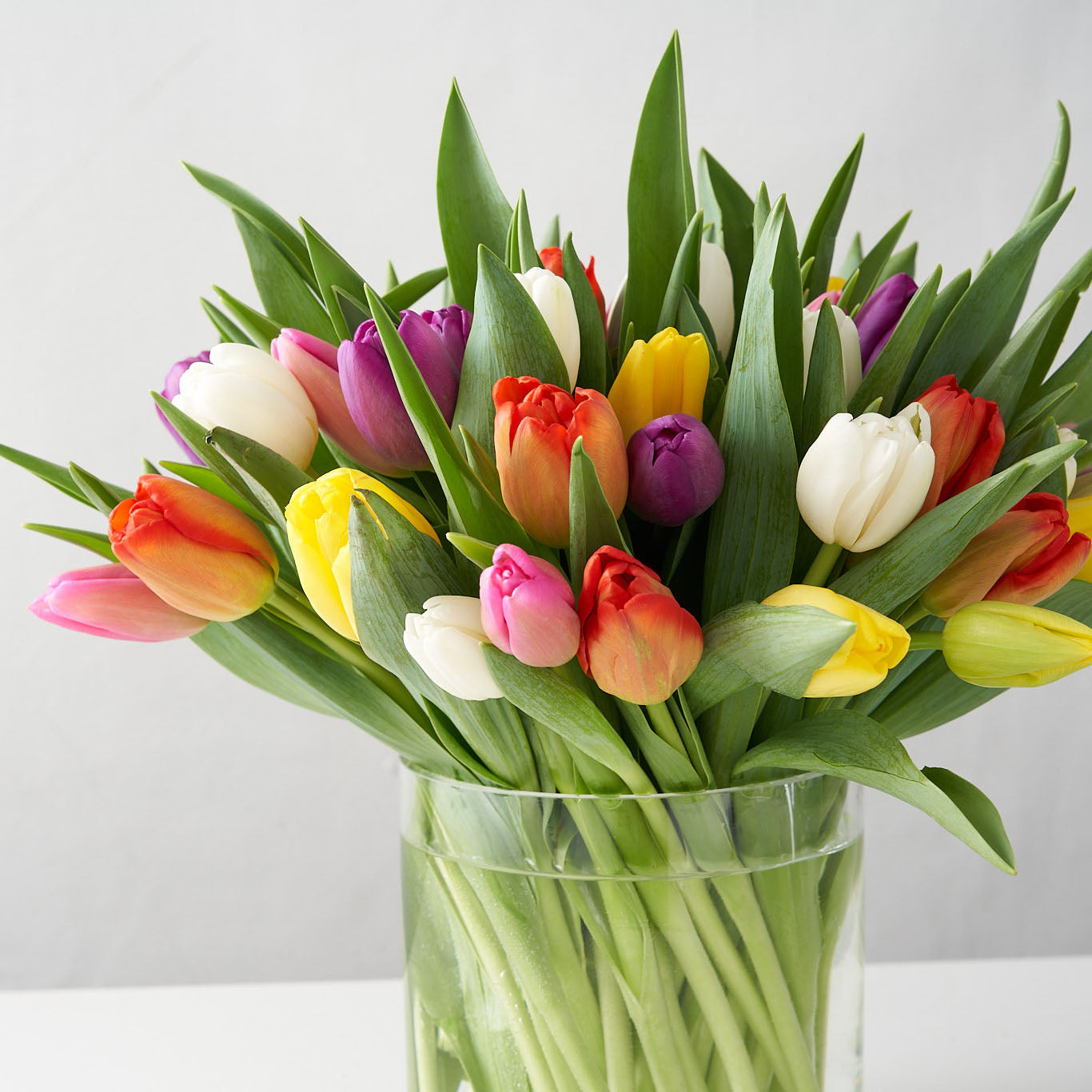 CUT MULTICOLORED TULIPS IN A CLEAR VASE