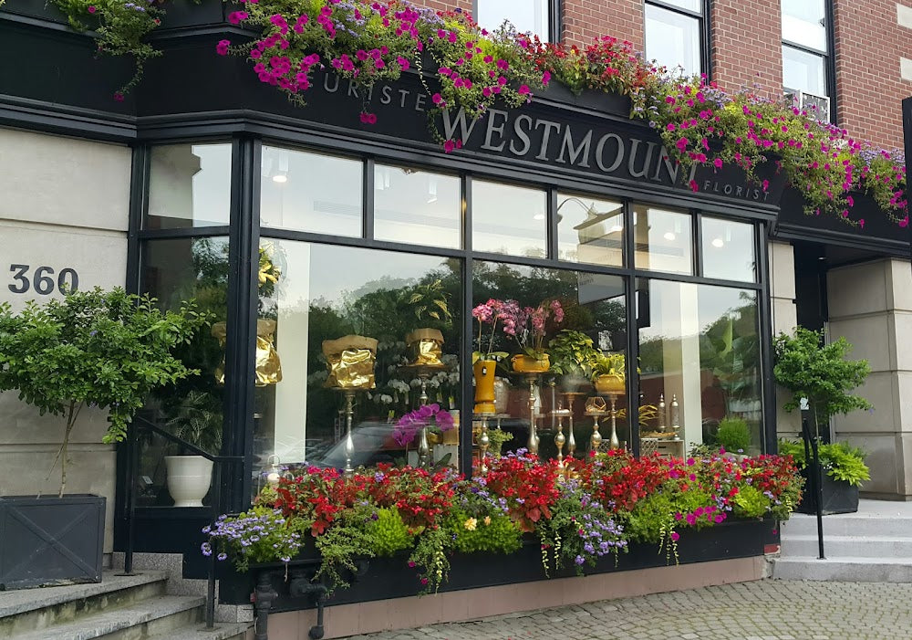 Westmount Florist Featured in VITA Magazine