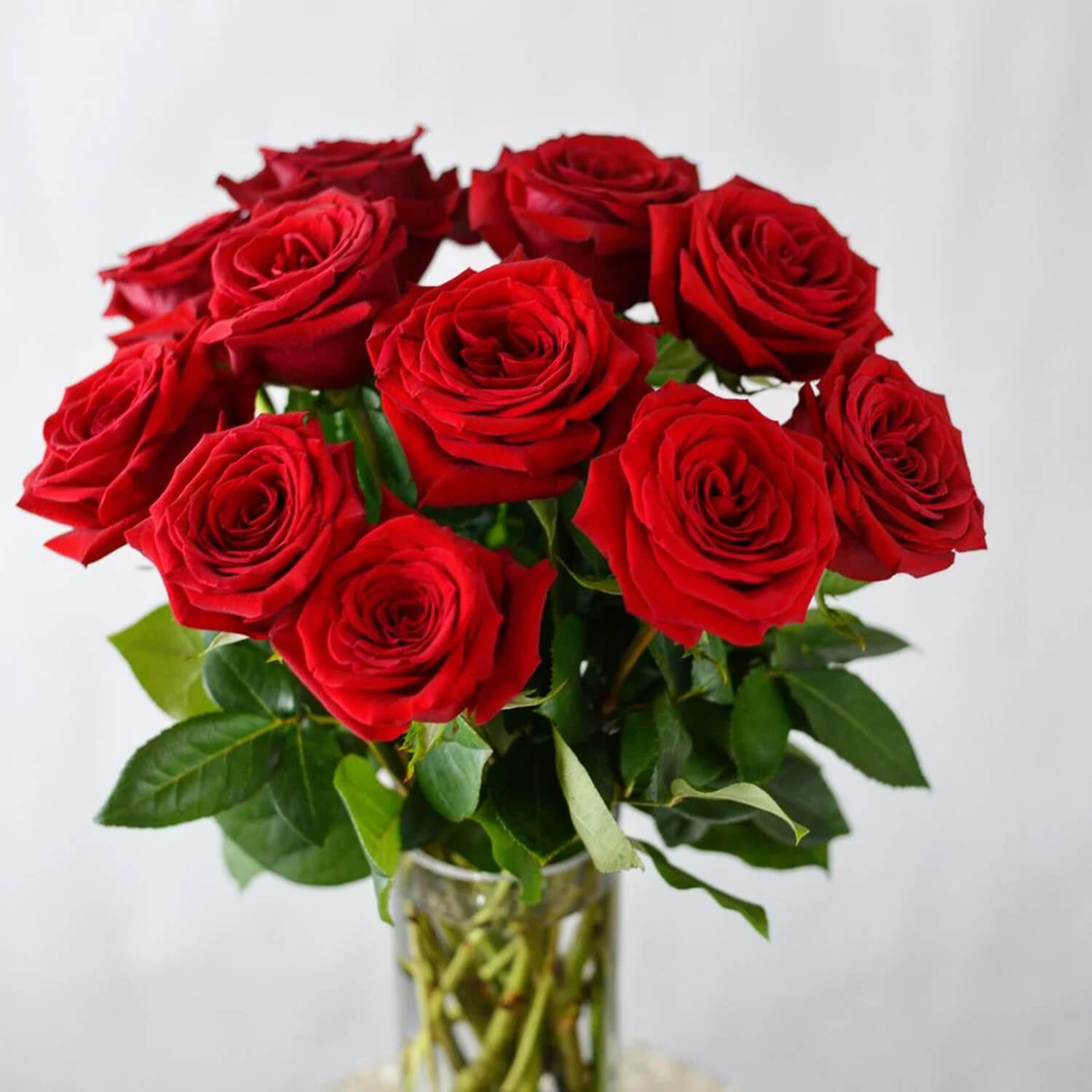 Romantic Flower Bouquets Montreal Westmount Florist