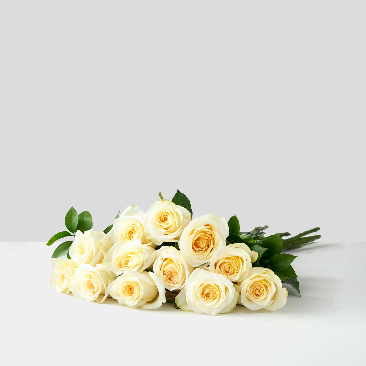 Candle Light Roses | Westmount Florist