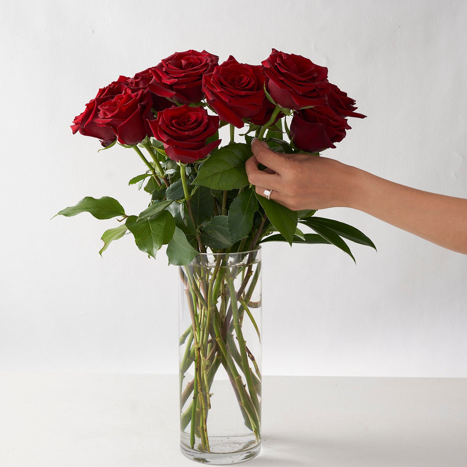 Woman's hand arranging twelve red roses in simple glass vase.+