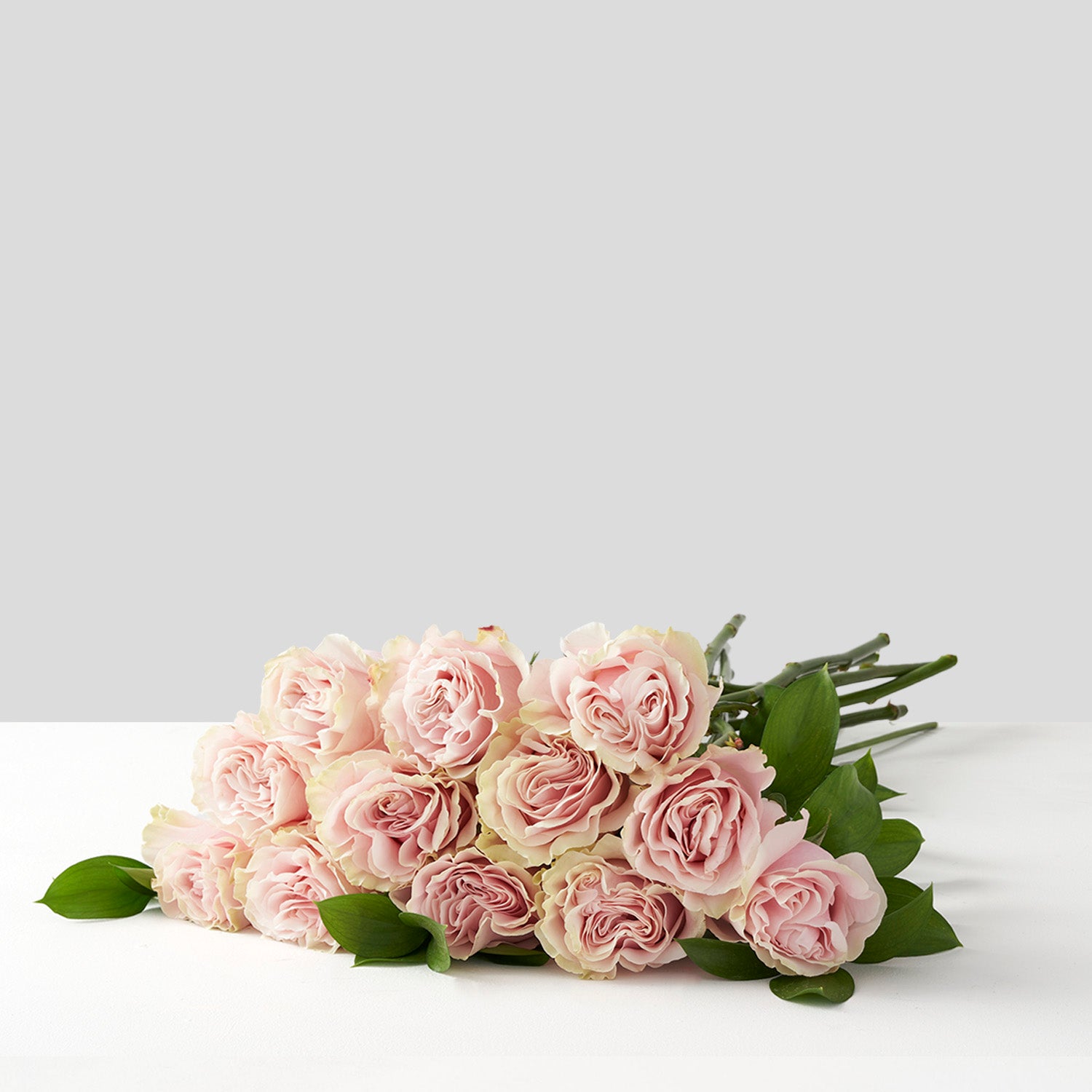 Bouquet of twelve pale pink Mondial roses with greenery on white background.
