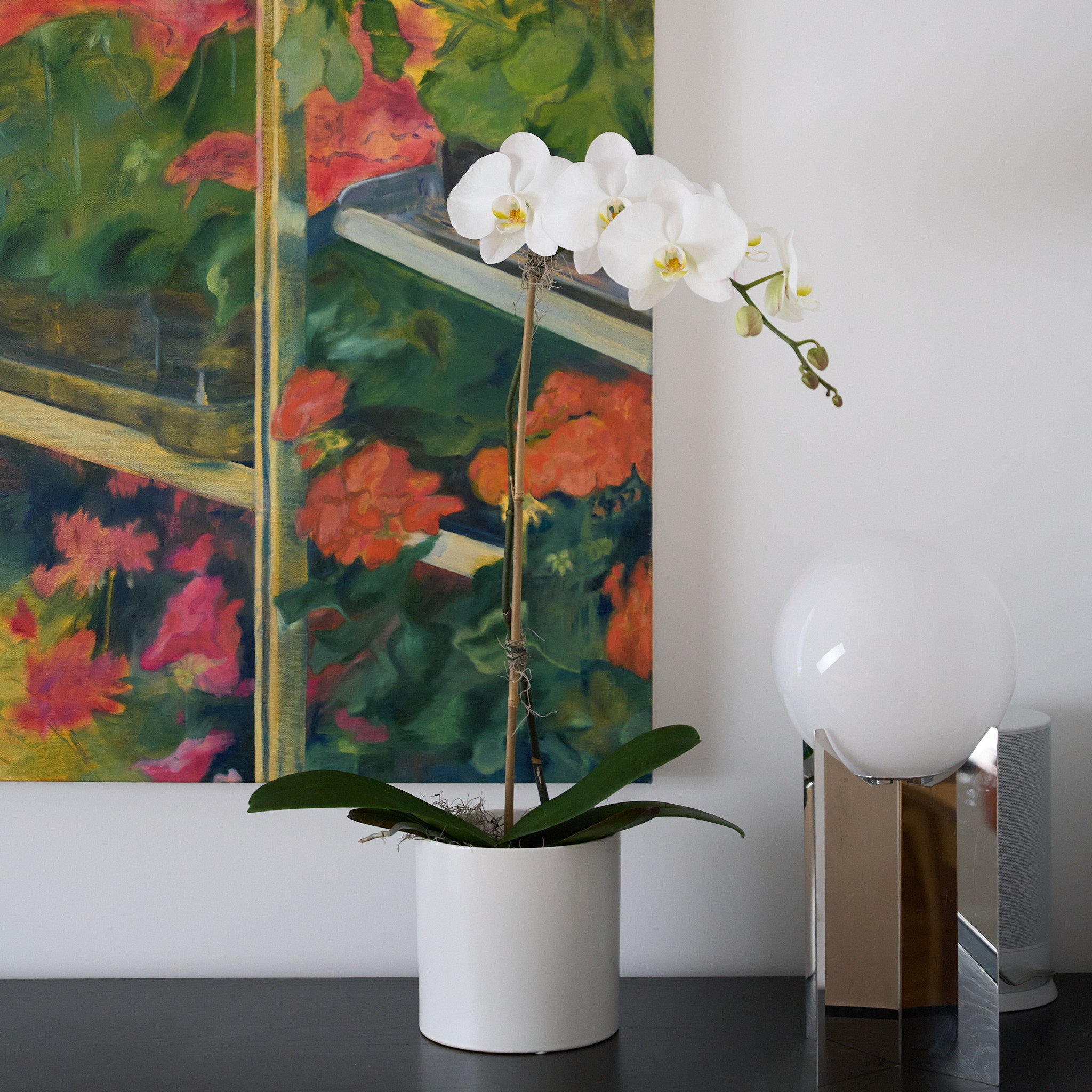 White orchid arranged in a white ceramic pot on a credenza