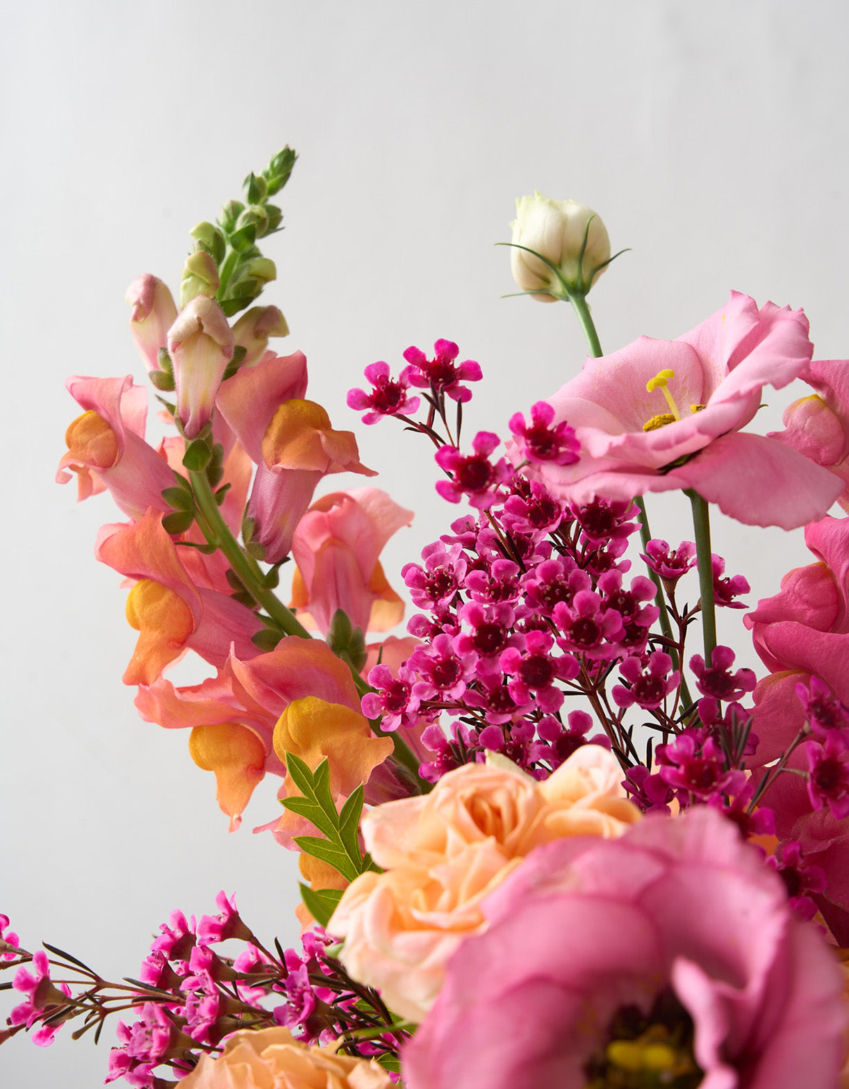 Amelia arrangement  up close shot with coral snapdragons, peach roses and hot pink wax flowers in a tall cylinder beveled glass vase