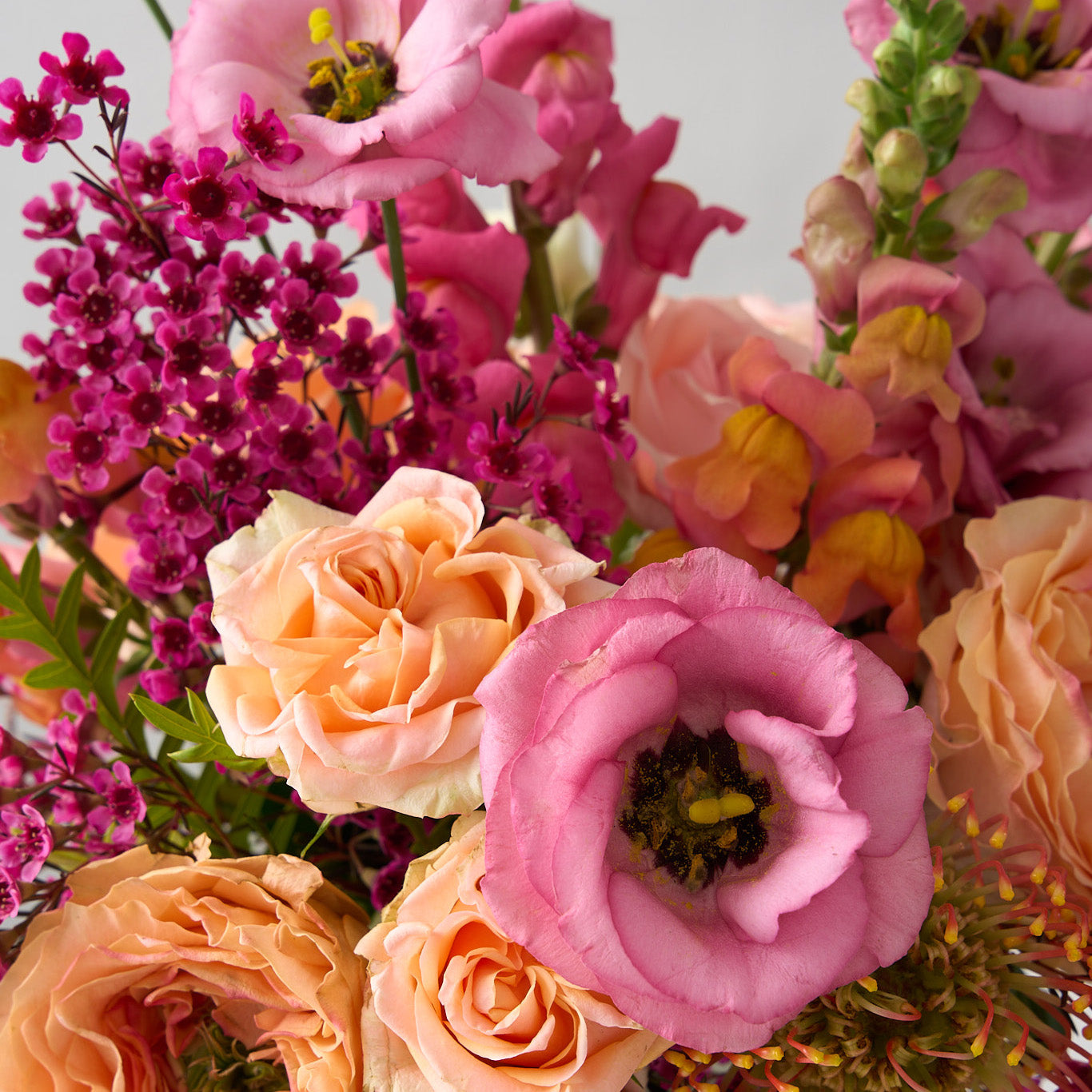 Amelia arrangement up close shot with coral snapdragons, peach roses and hot pink wax flowers in a tall cylinder beveled glass vase