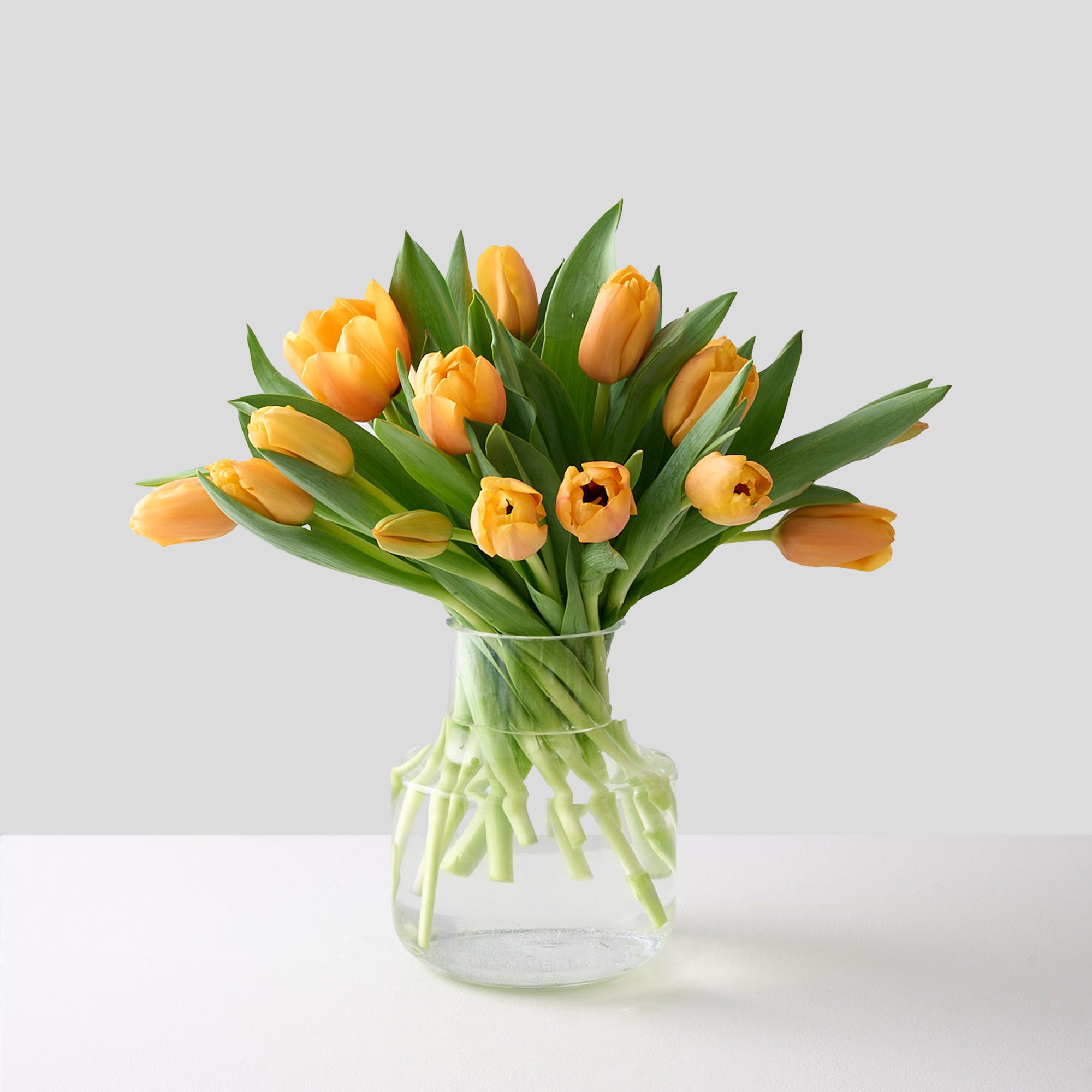 Bouquet of apricot tulips in a clear vase on a light background