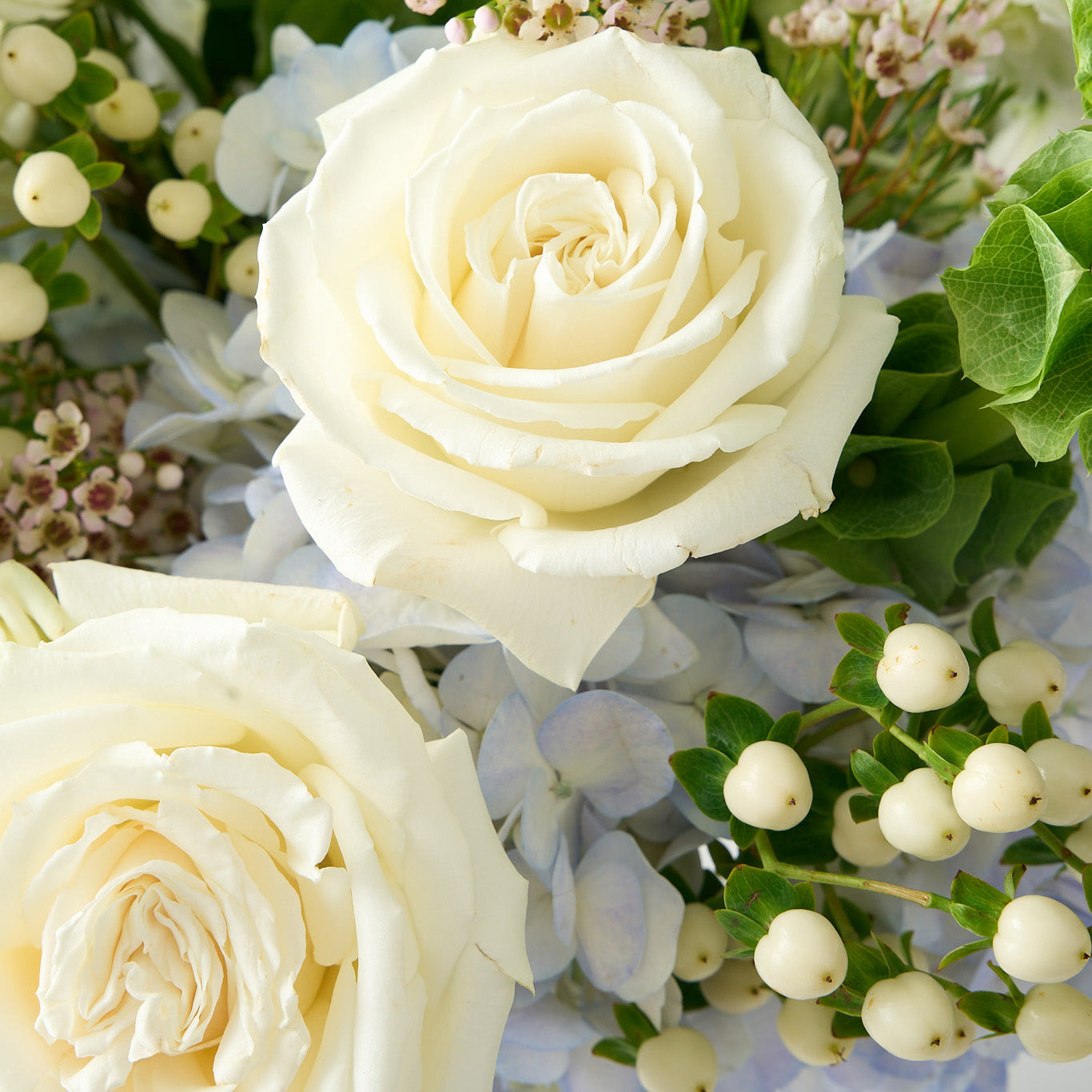 Close up of bells of Ireland, blue & hydrangea, cream candlelight roses in an arrangement