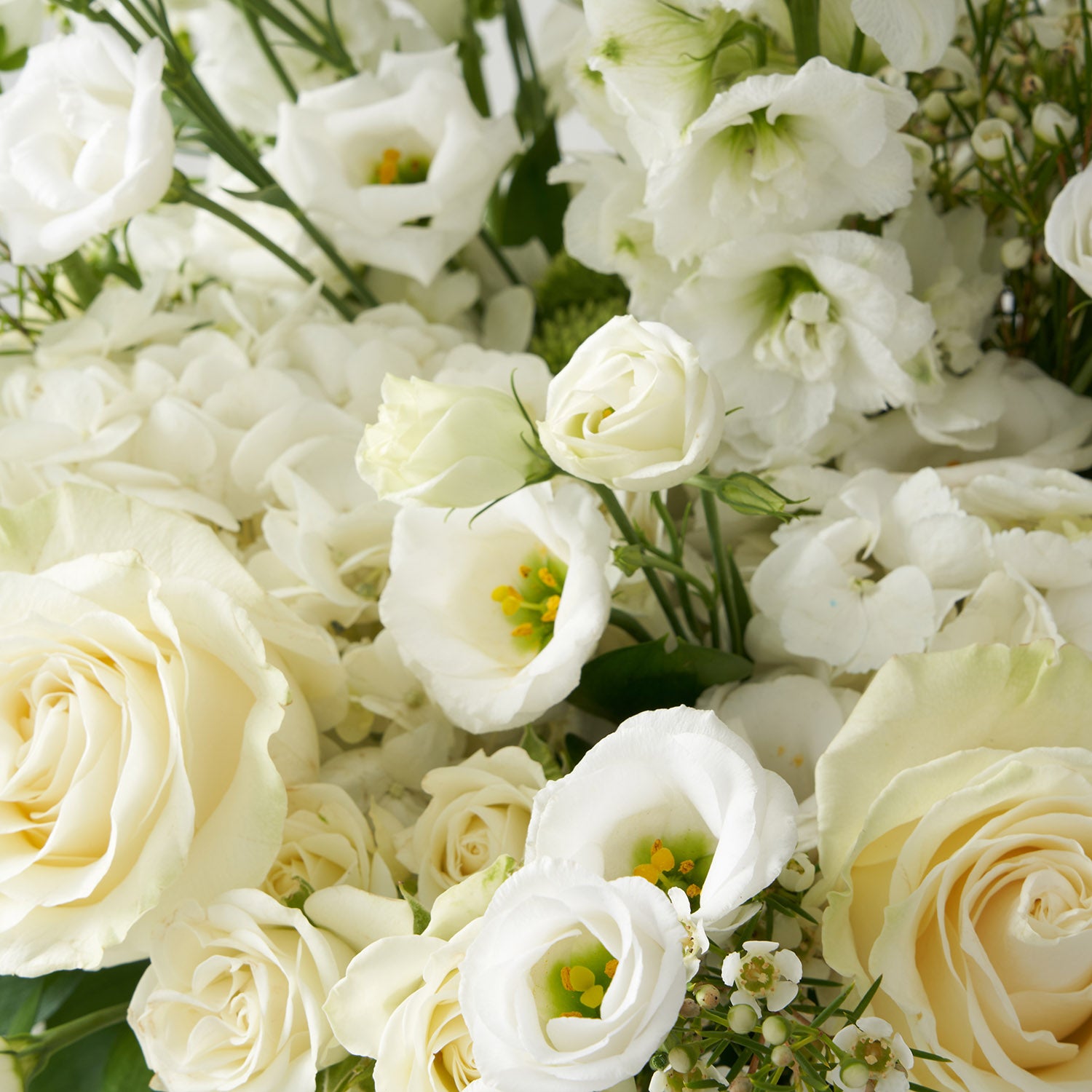 Closeup of white flowers including roses, lisianthus, and hydangea.