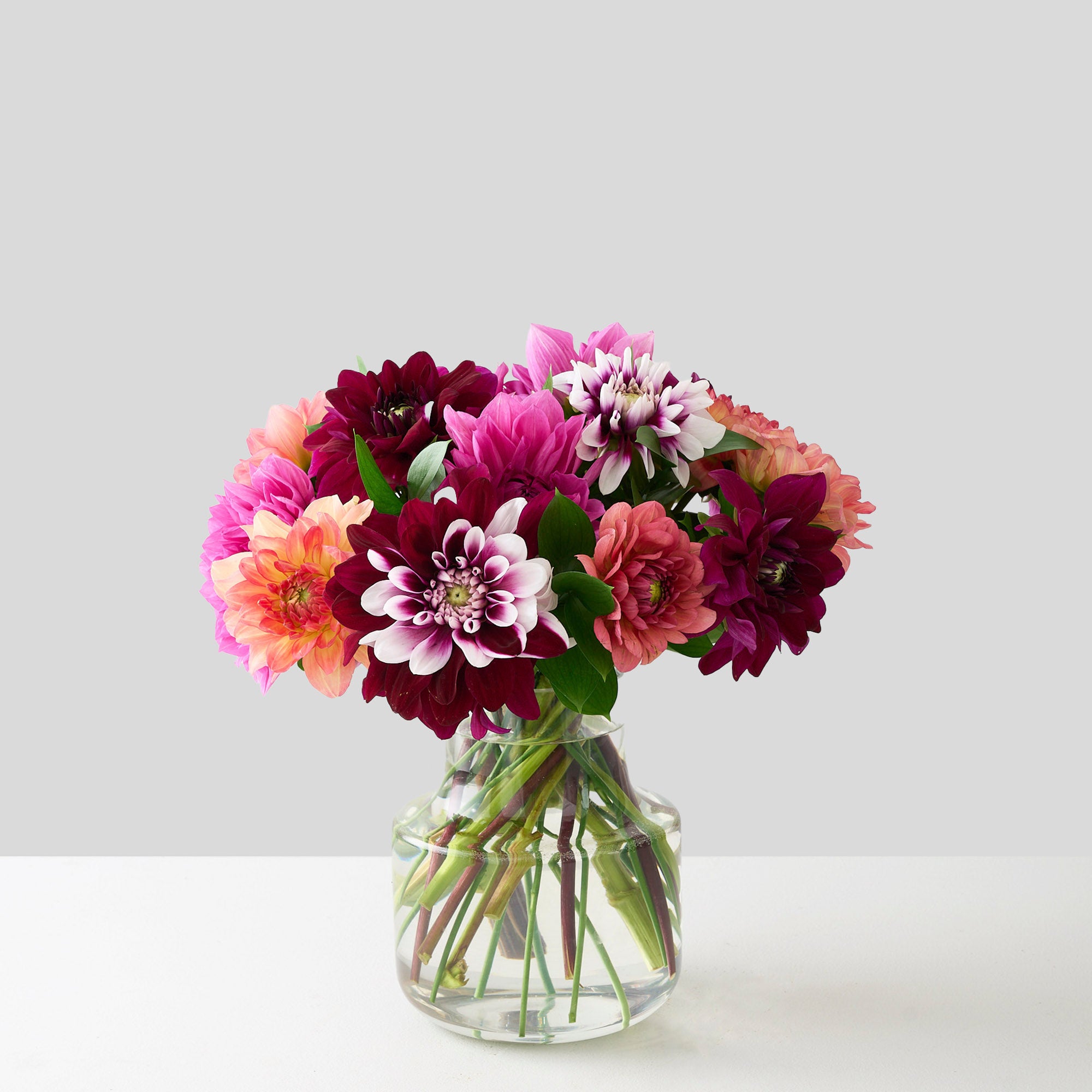 Arrangement de dahlias variés