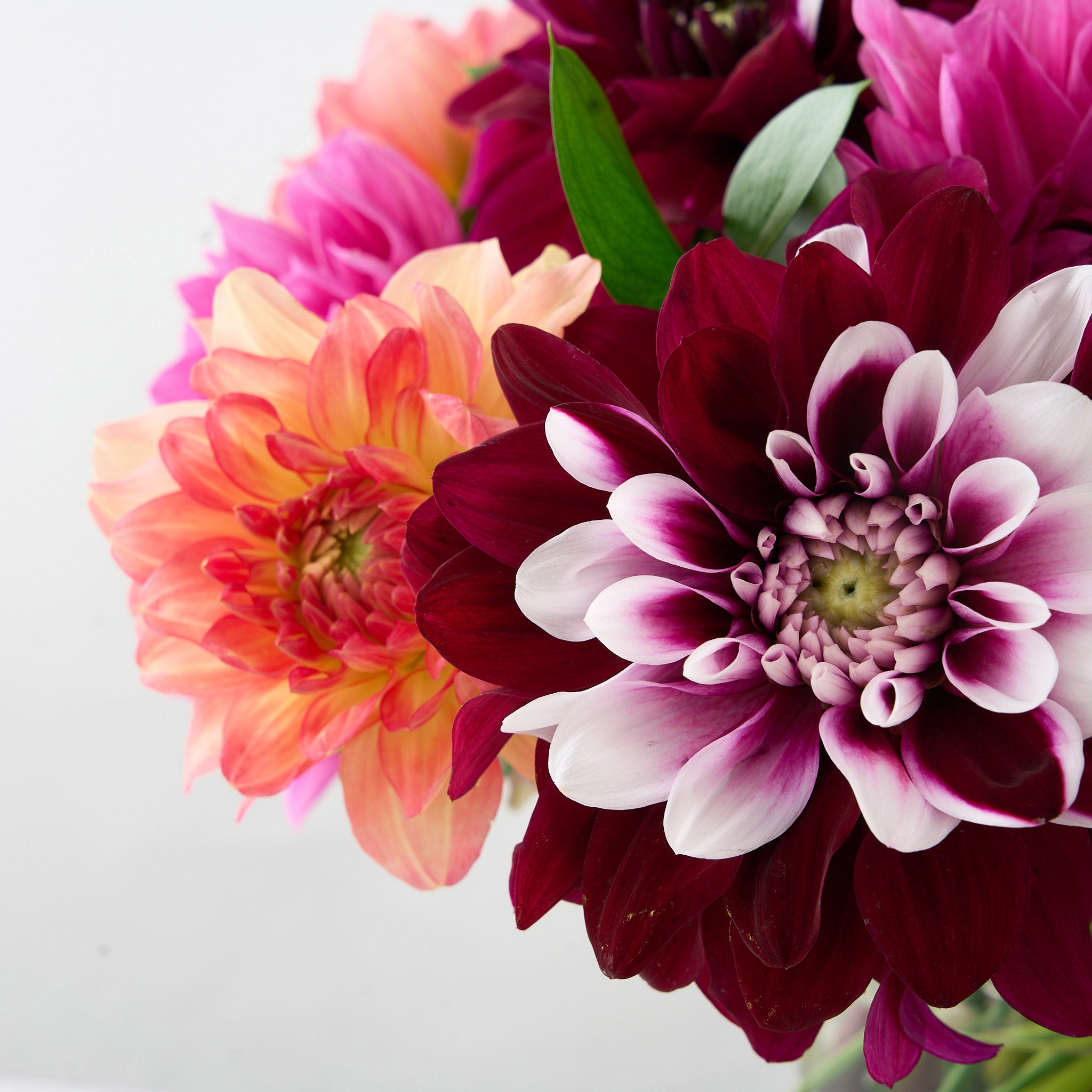 Arrangement de dahlias variés
