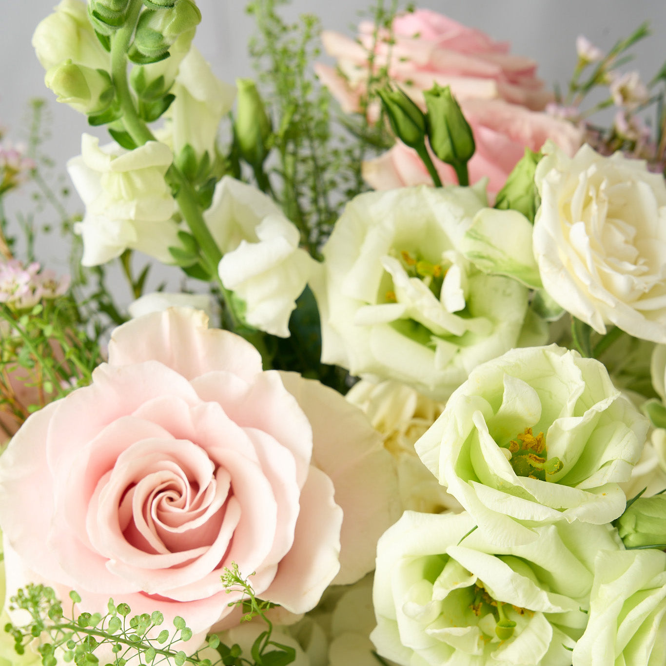 close up shot of a traditional colours scheme arrangement featuring pink oses, white lisianthus, tall snap dragons and wispy  green hydrangea