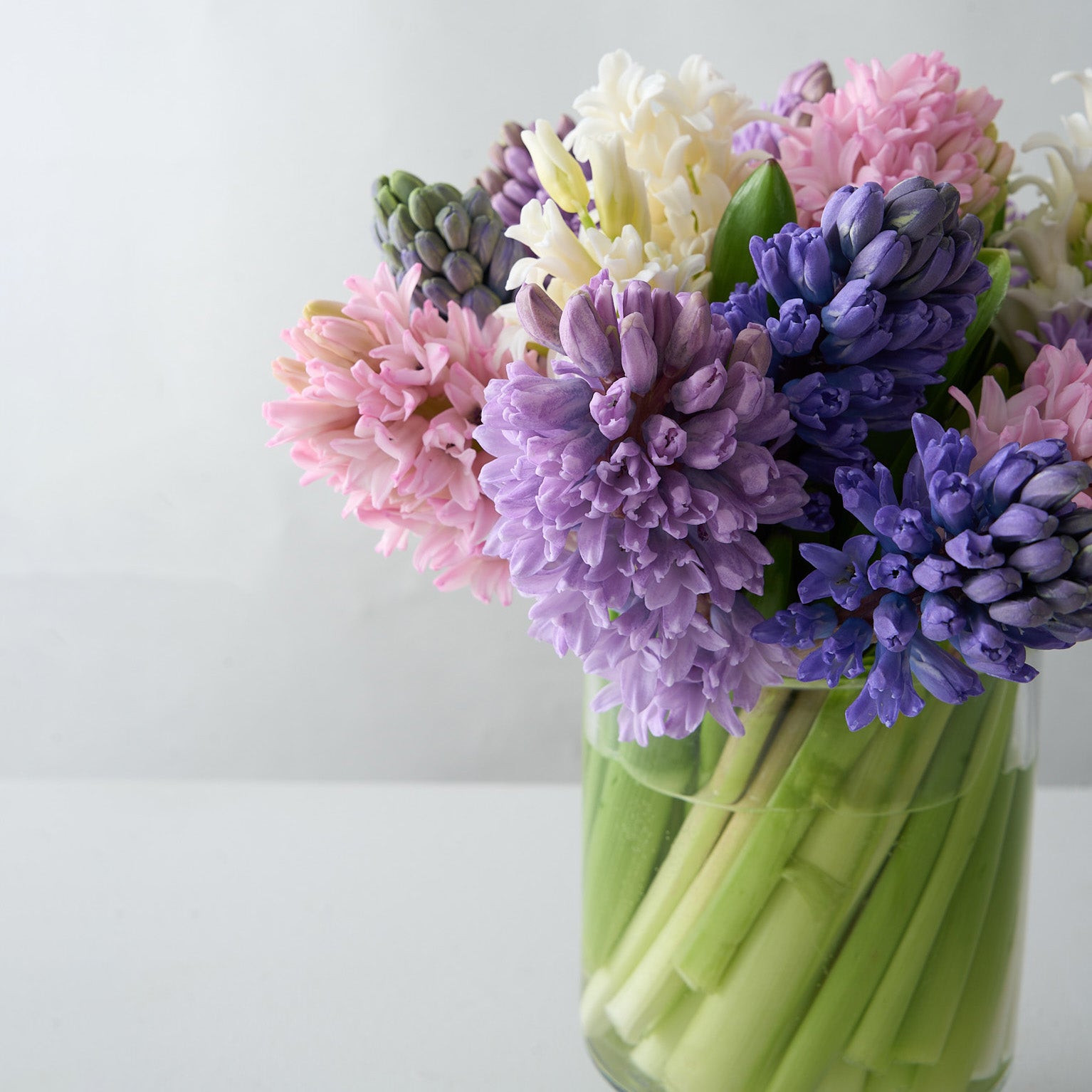 cut pink, purple, white and blue hyacinths in a glass pedestal vase - up close shot.